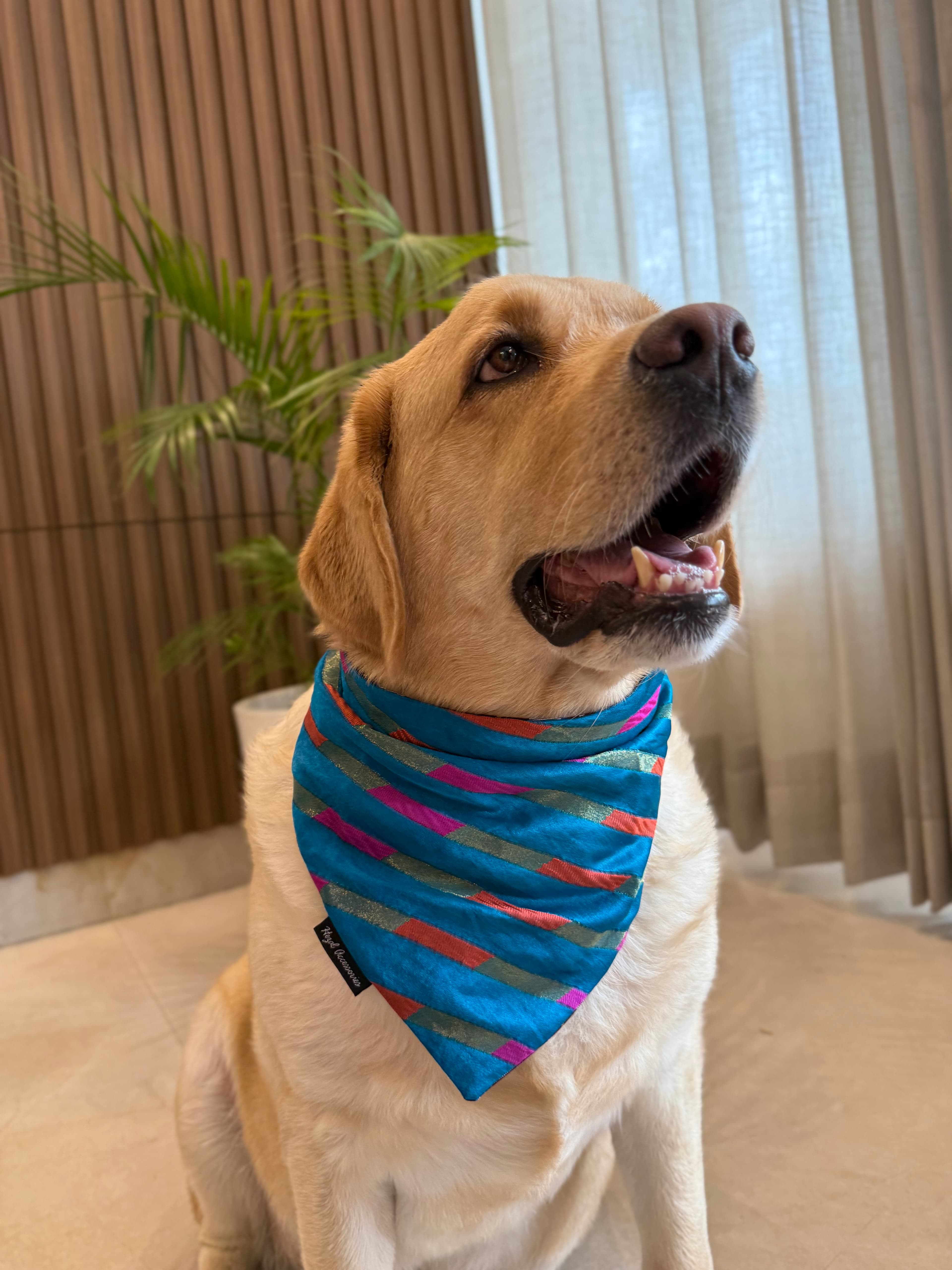 Blue Mirage tie on Bandana  image 2