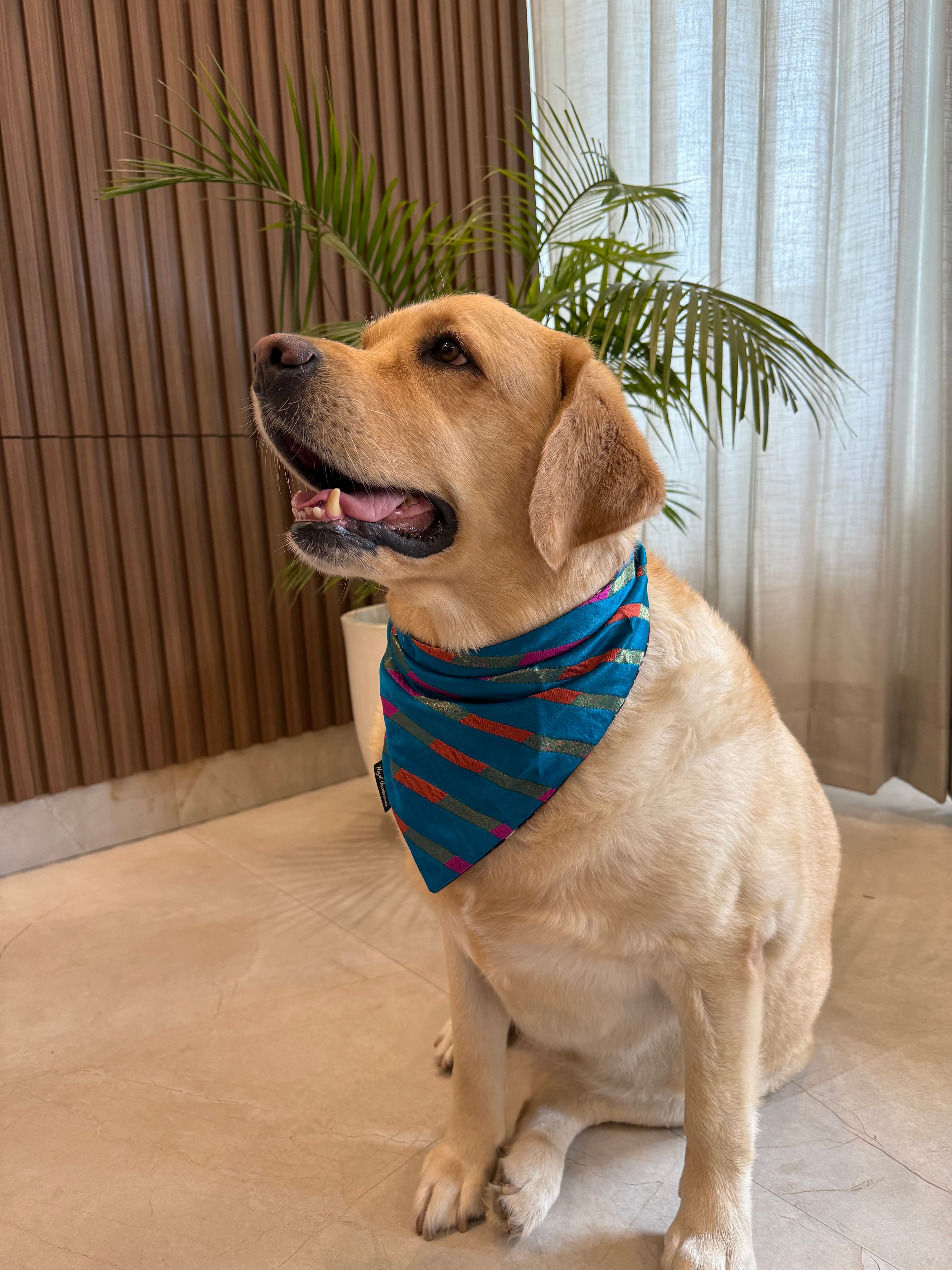 Blue Mirage tie on Bandana  image 3