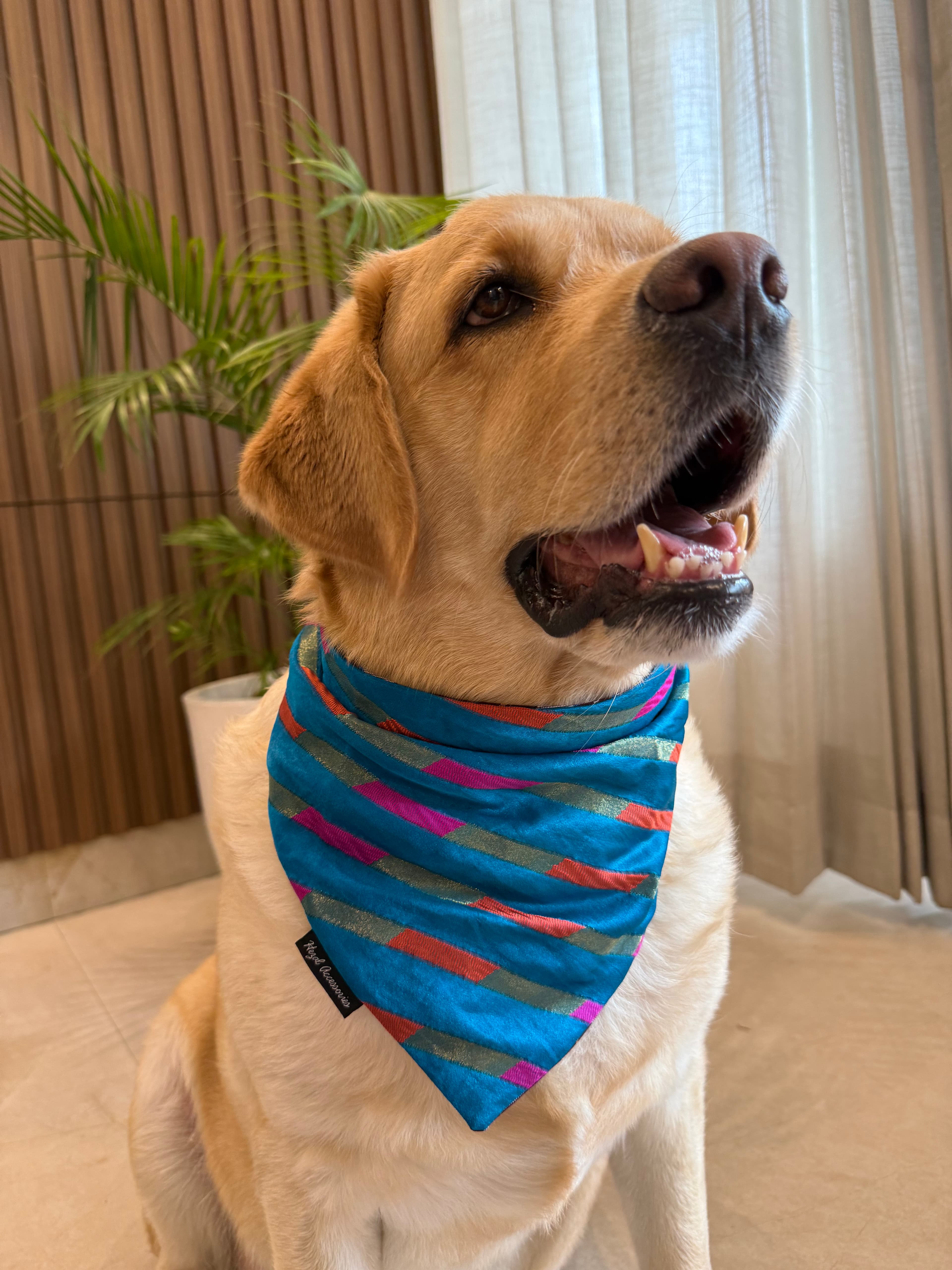 Blue Mirage tie on Bandana 