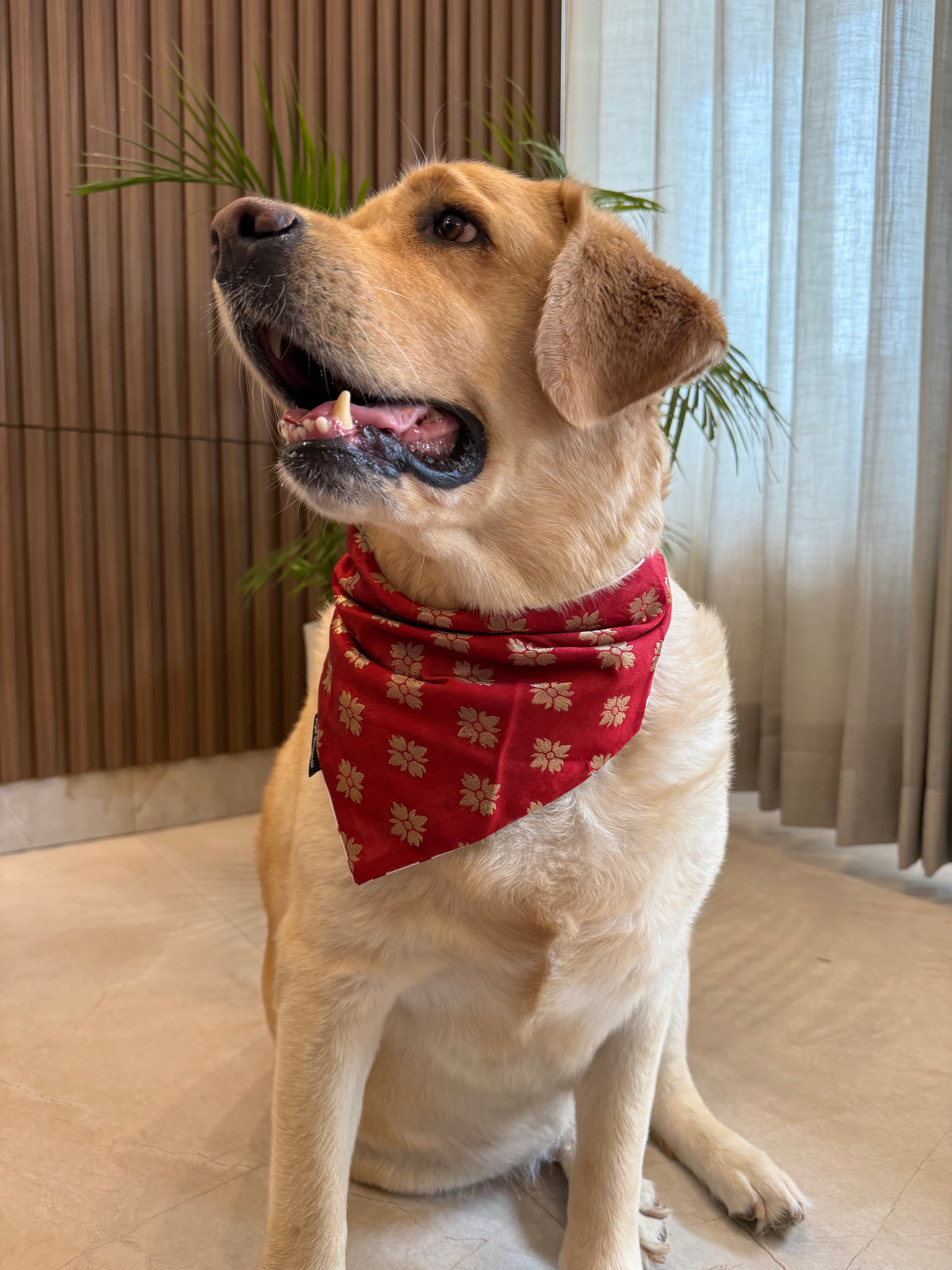 Rouge Elegance Bandana