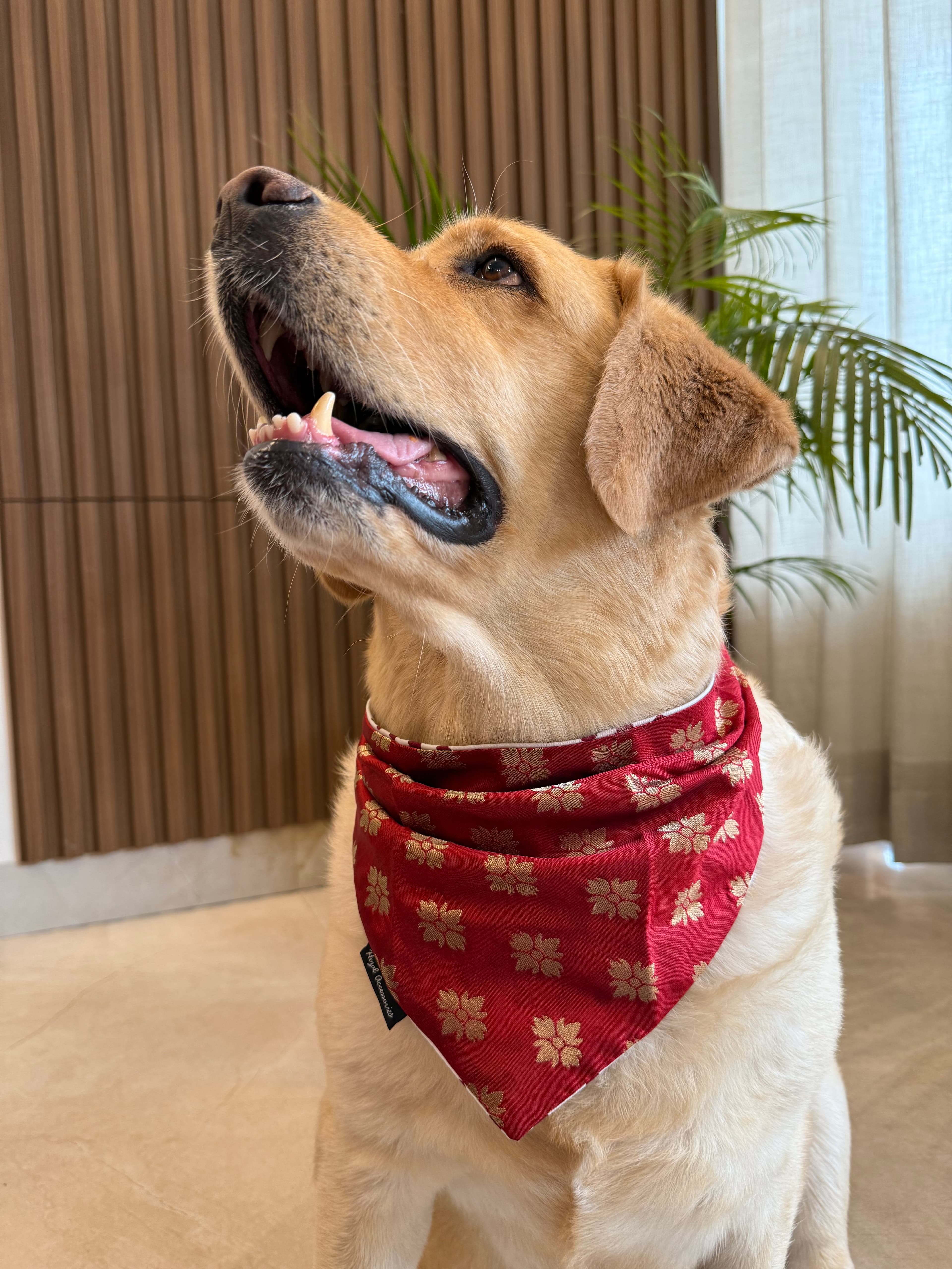 Rouge Elegance Bandana image 2