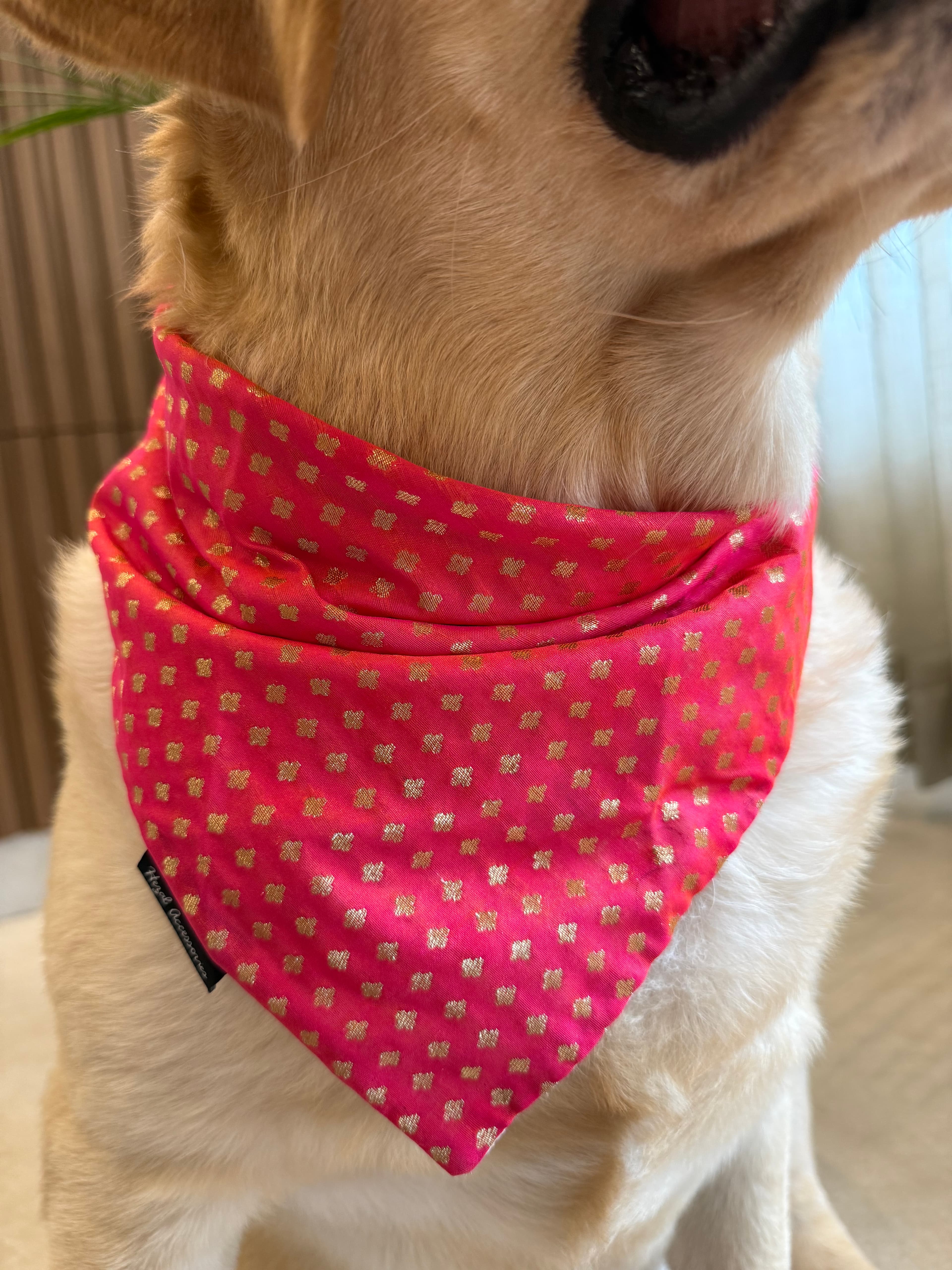 Stardust Bandana image 3