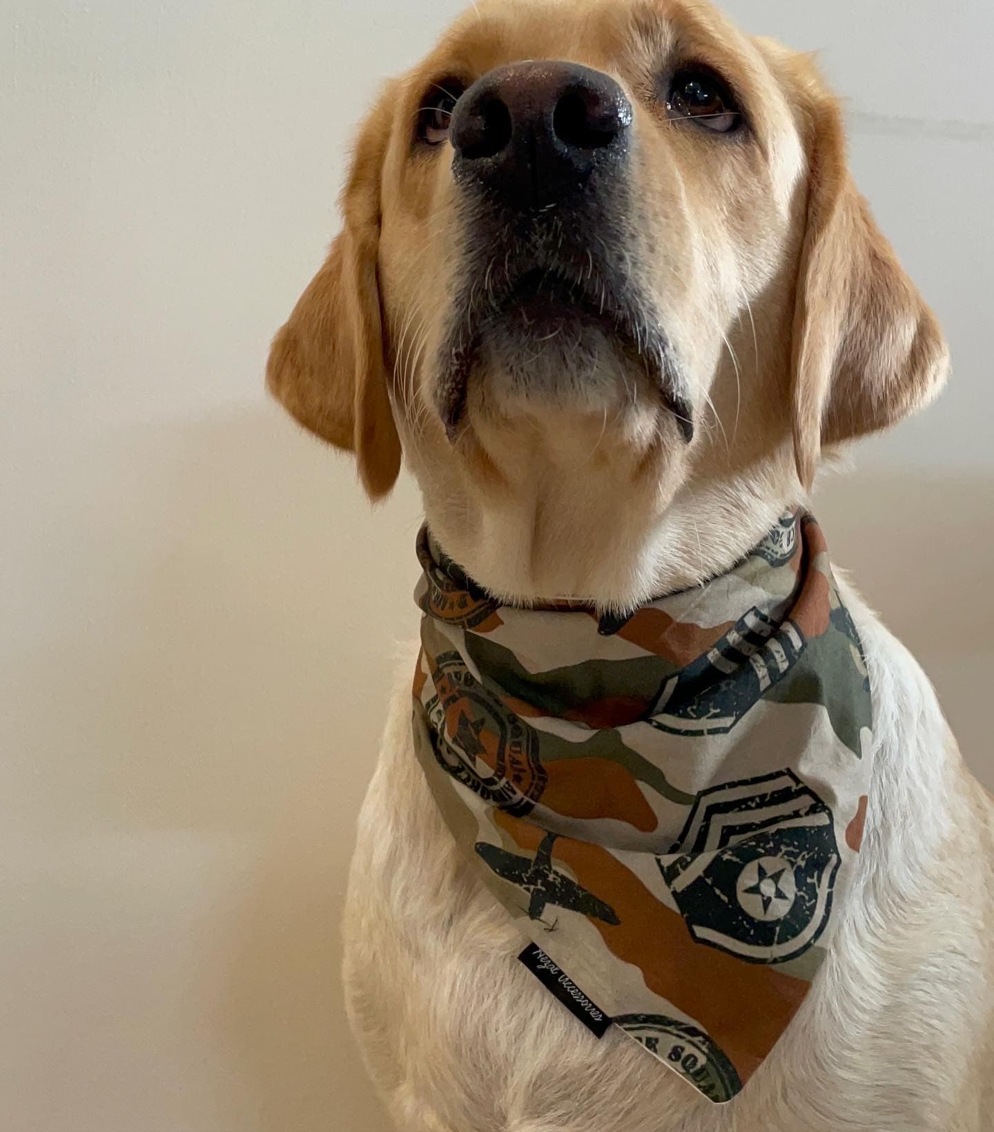 Camo Commander Bandana image 3