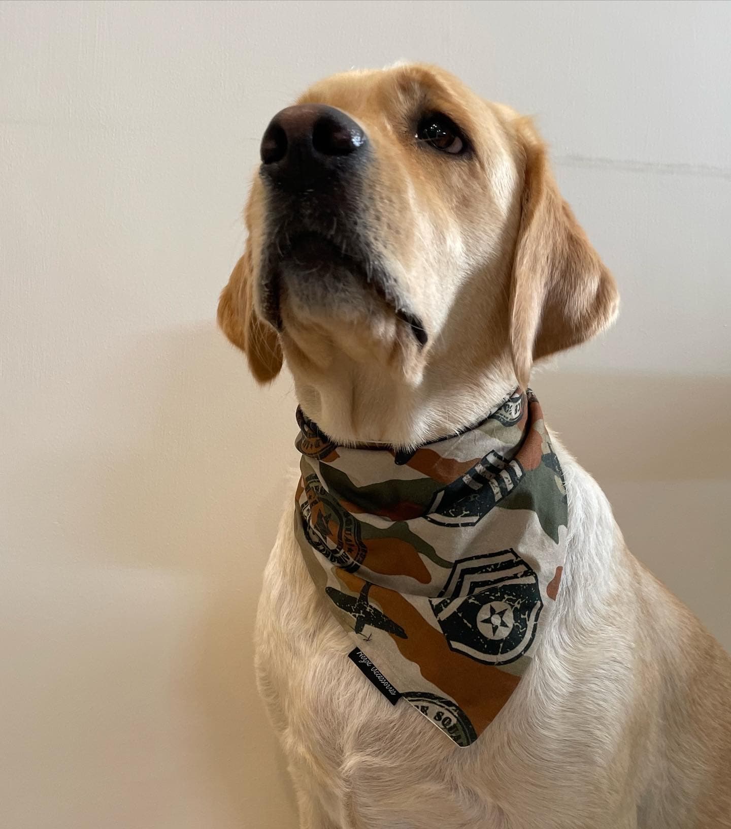 Camo Commander Bandana image 2