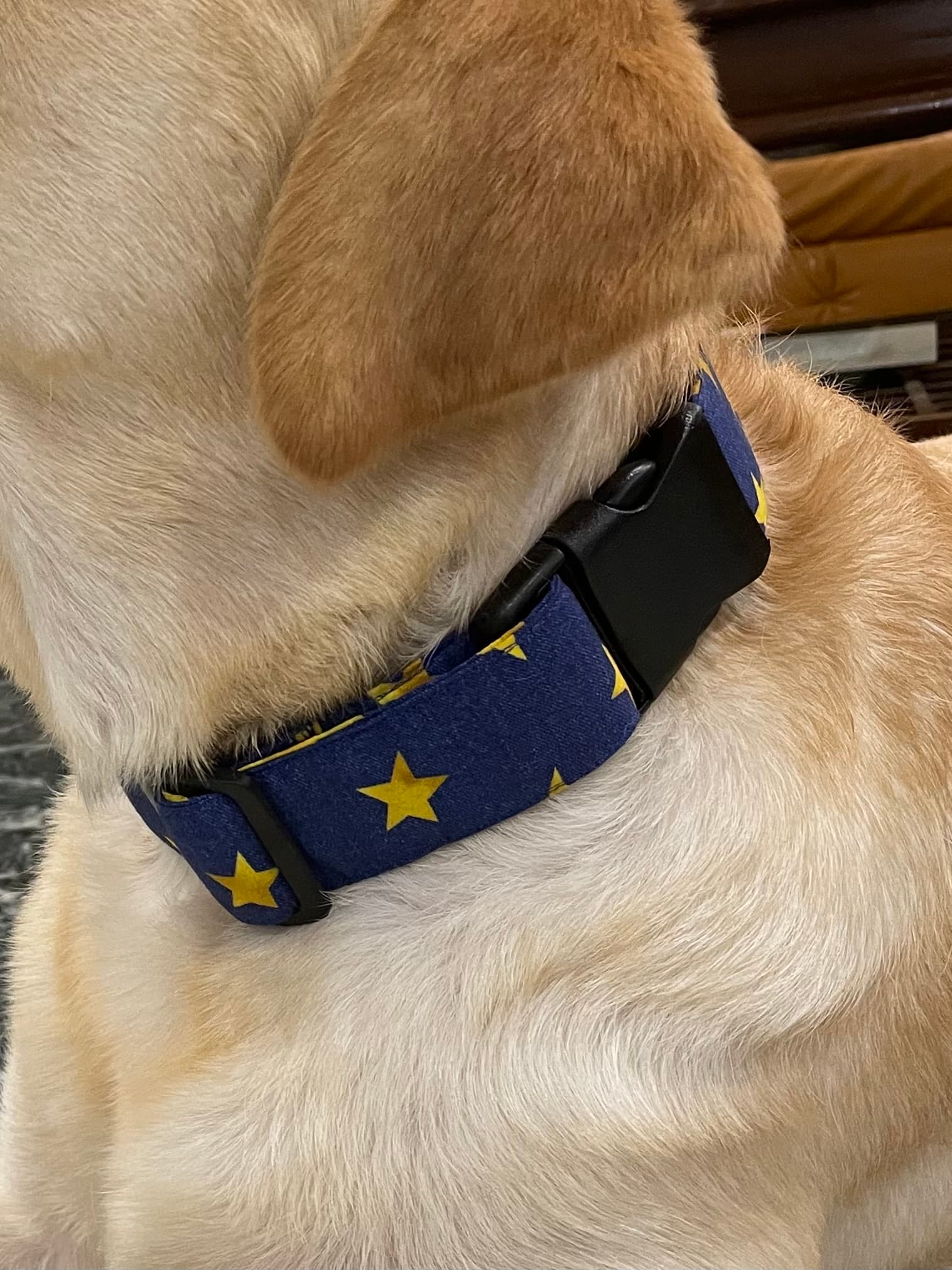 Starry Nights Dog Collar  image 3