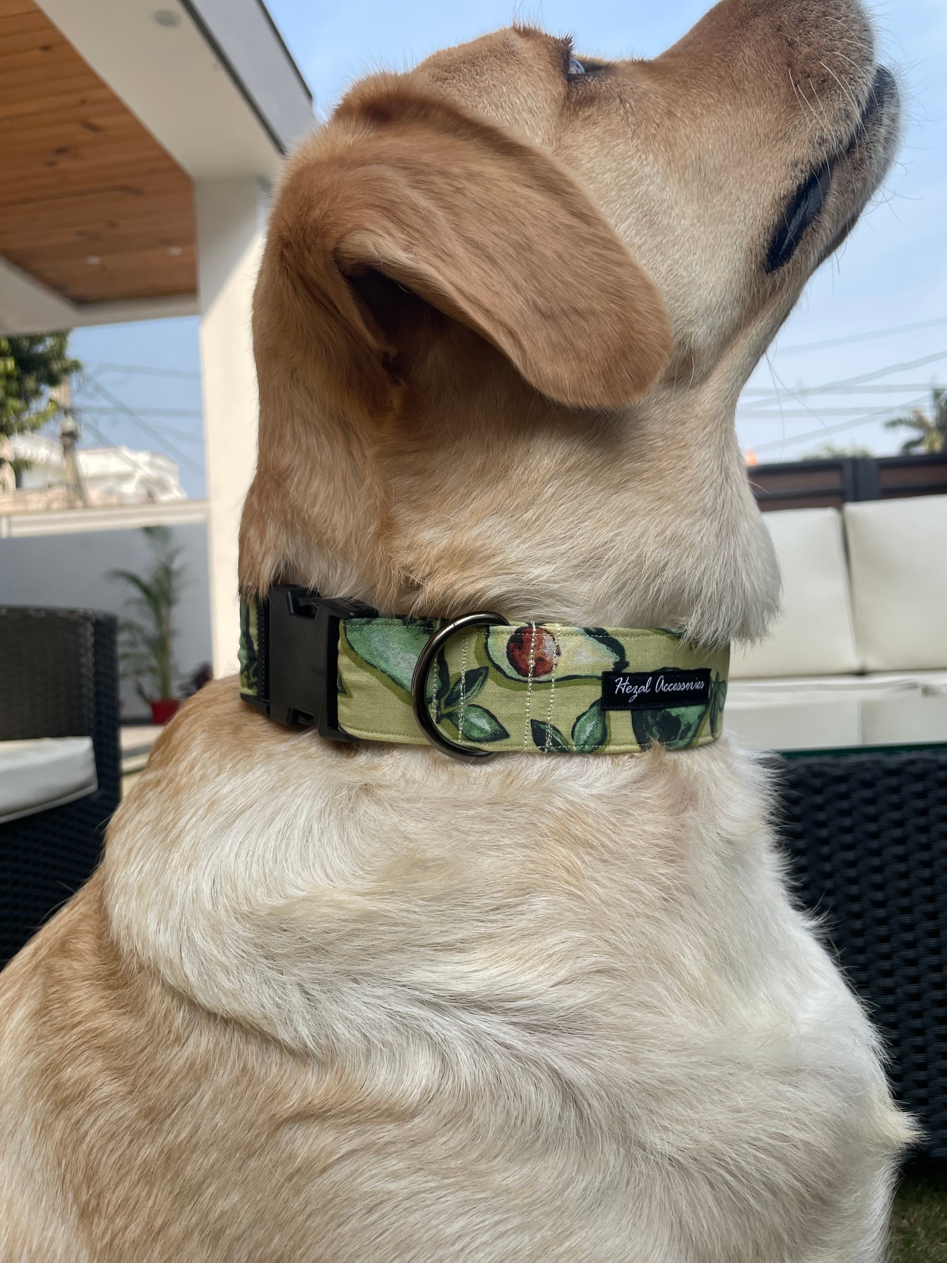 Avocado Charm Collar