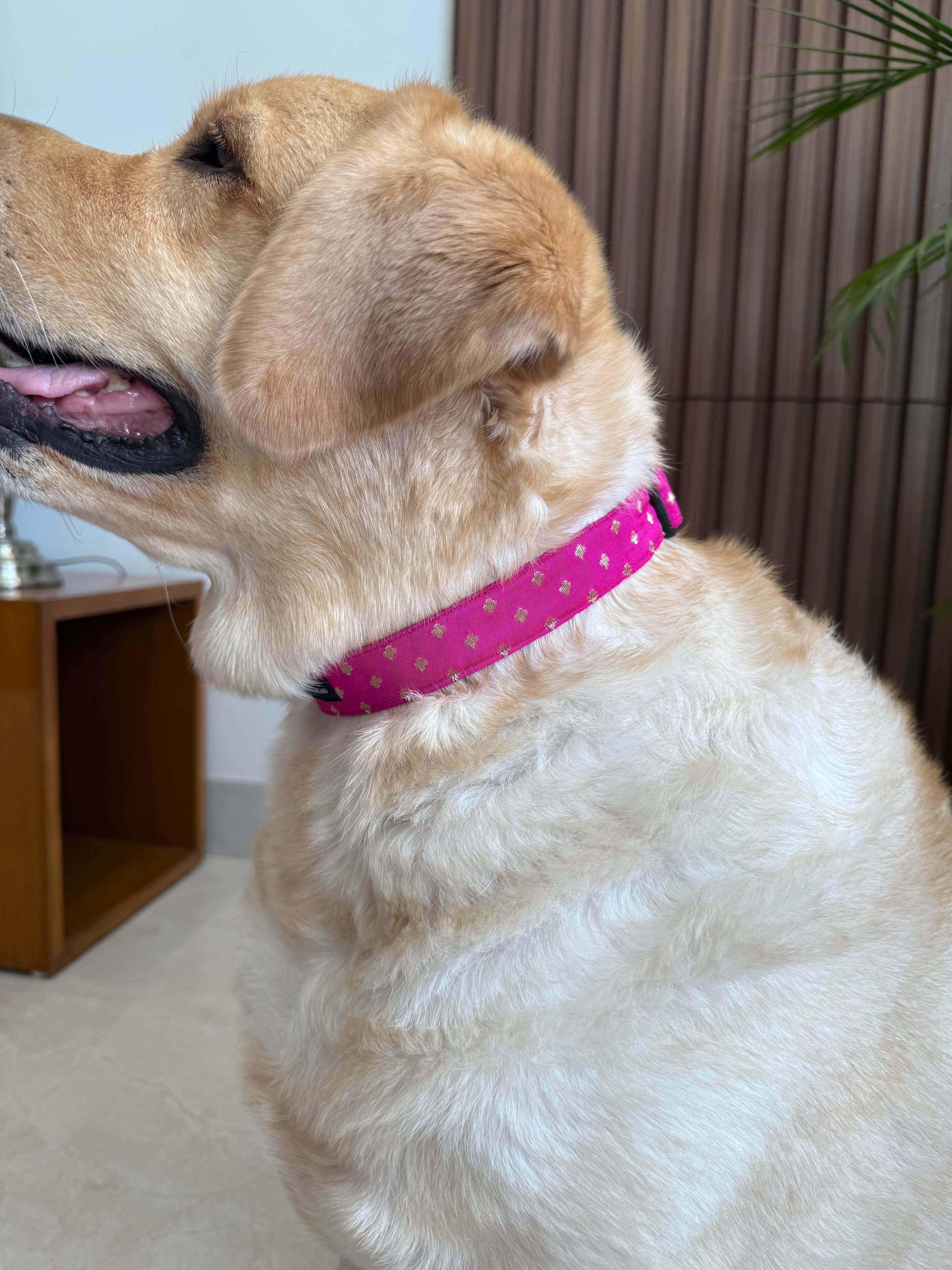 Festive Fuchsia Glam Collar image 2