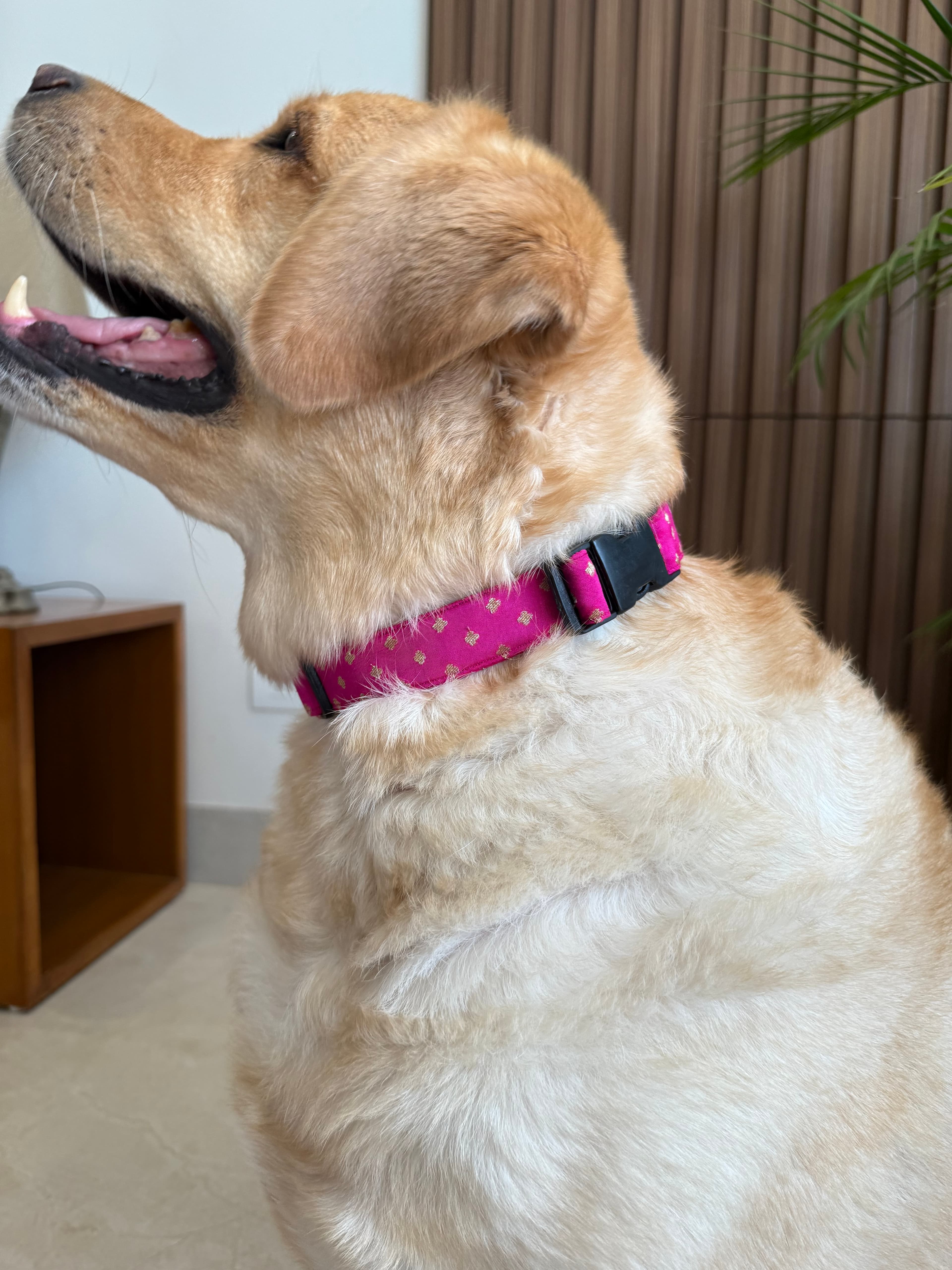 Festive Fuchsia Glam Collar image 3