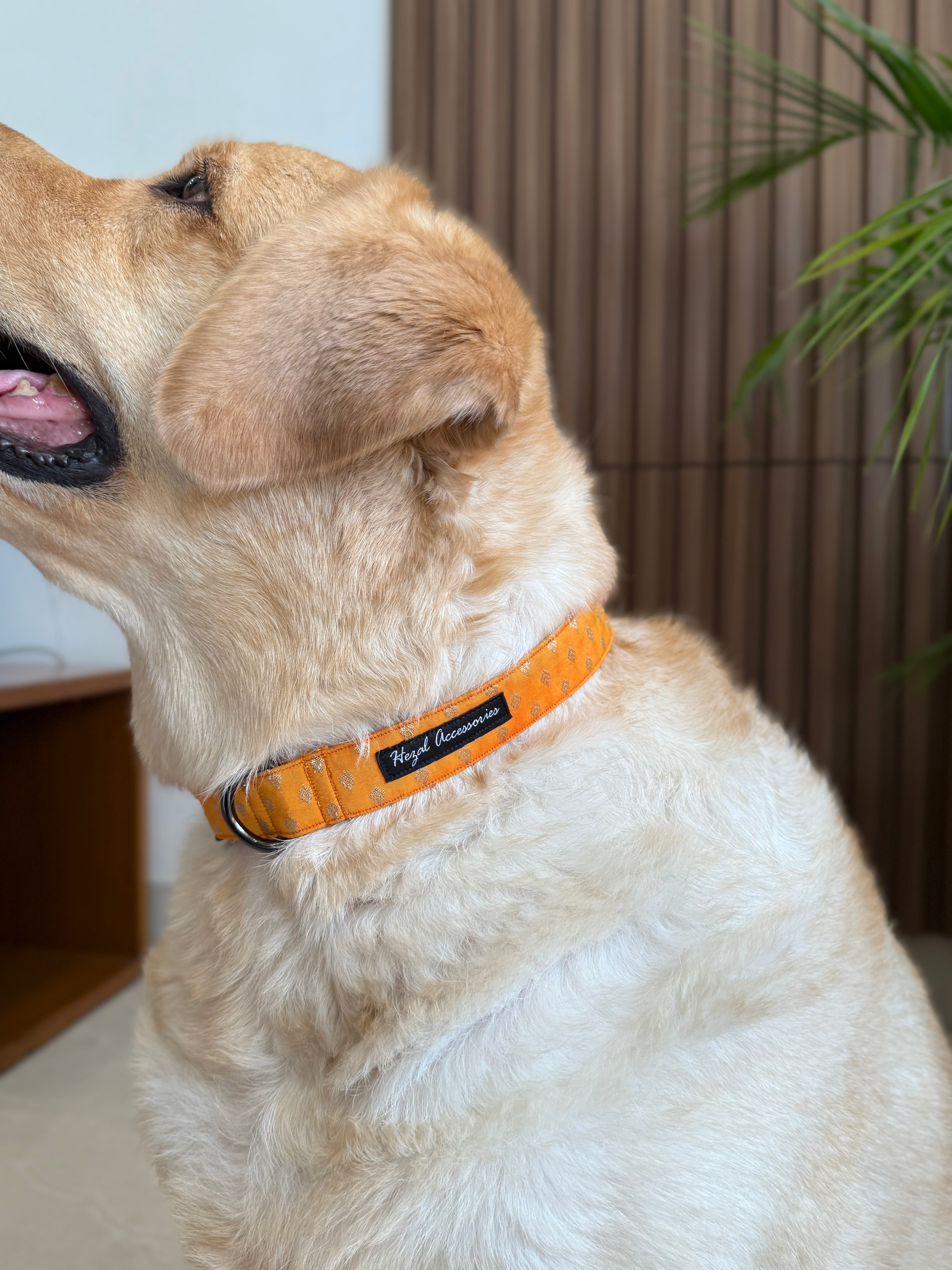 Yellow Marigold Festive Collar
