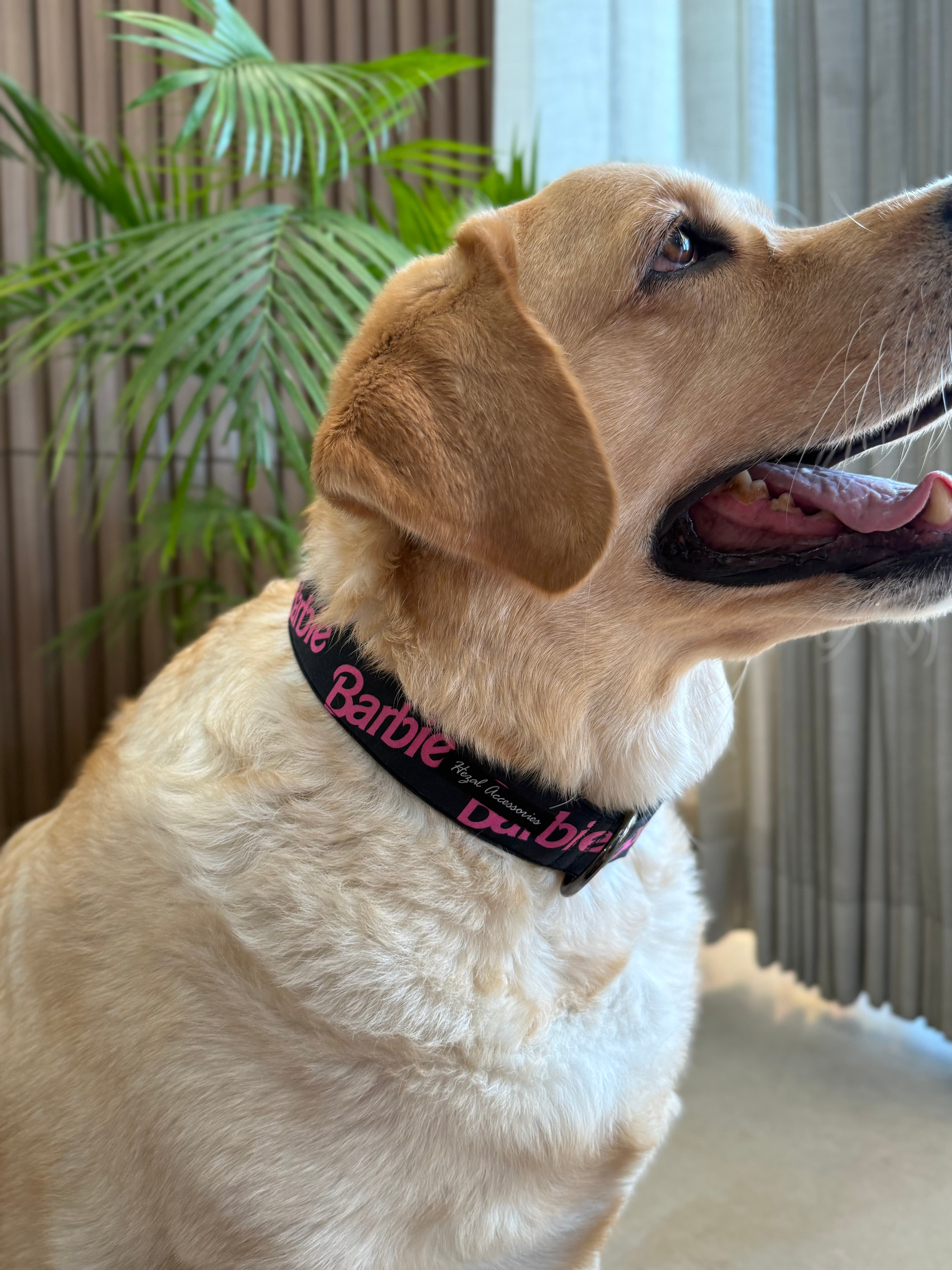 Barbie Dream Collar 
