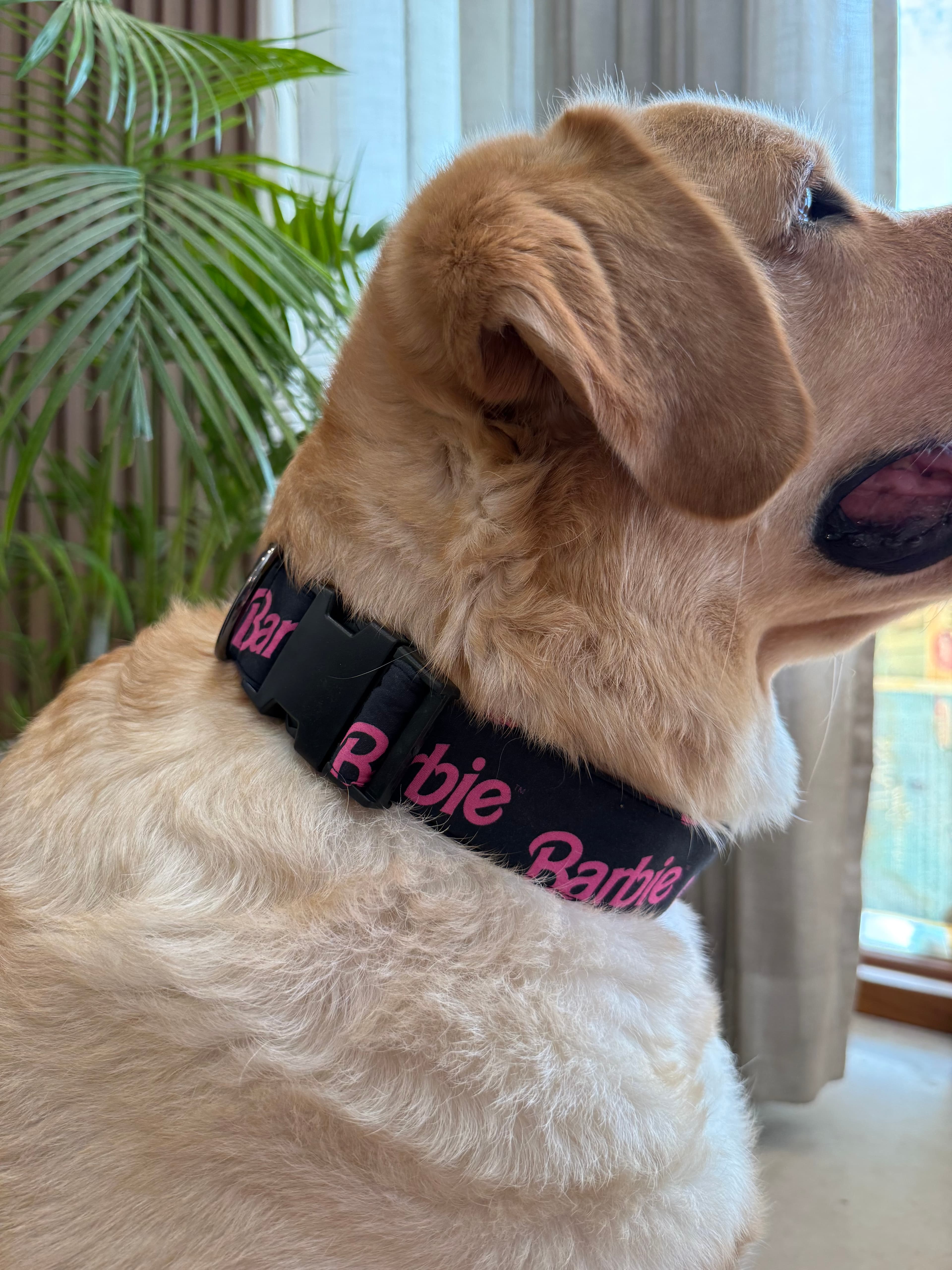 Barbie Dream Collar  image 5