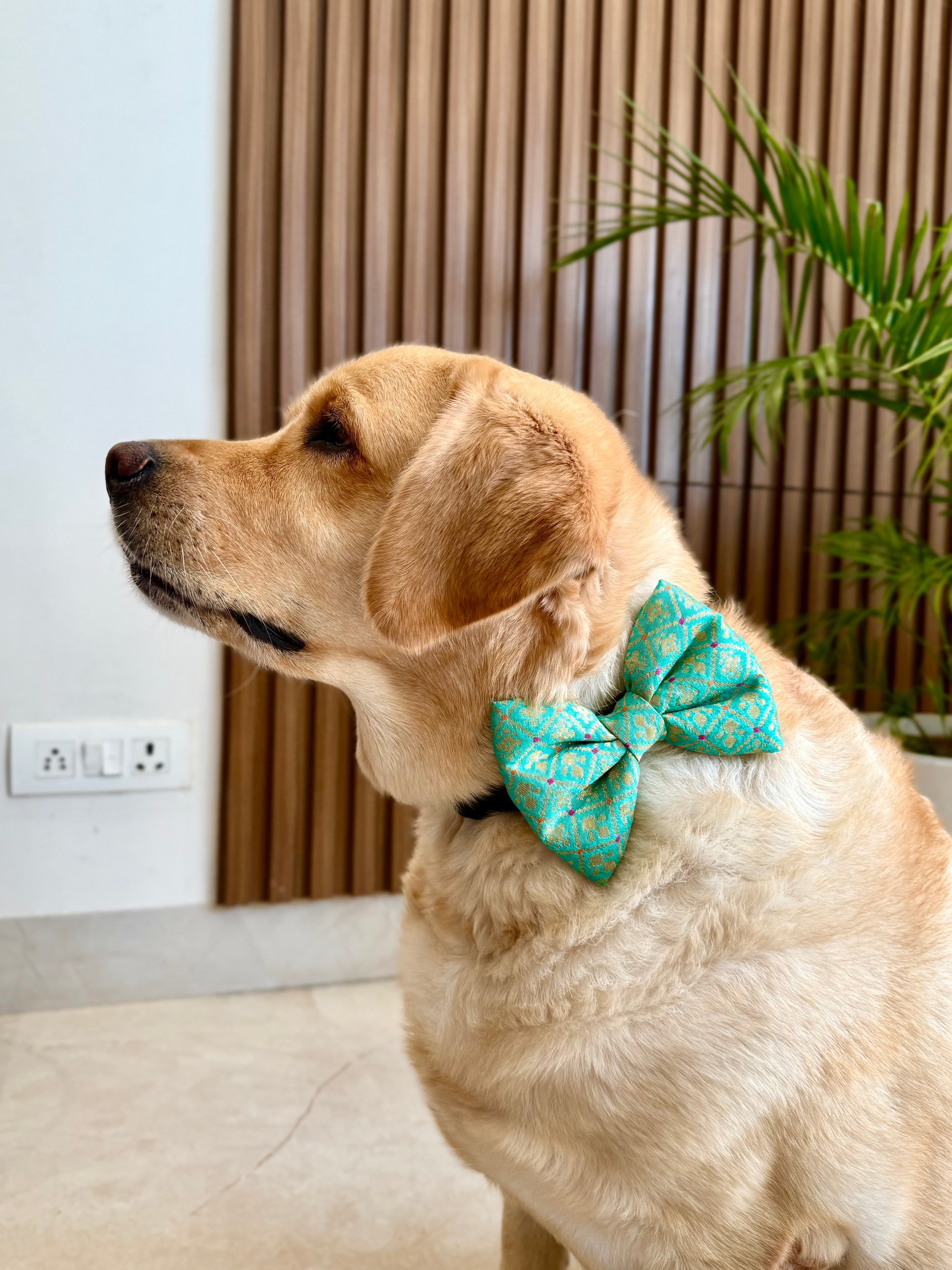 Festive Charm Bow Tie image 2