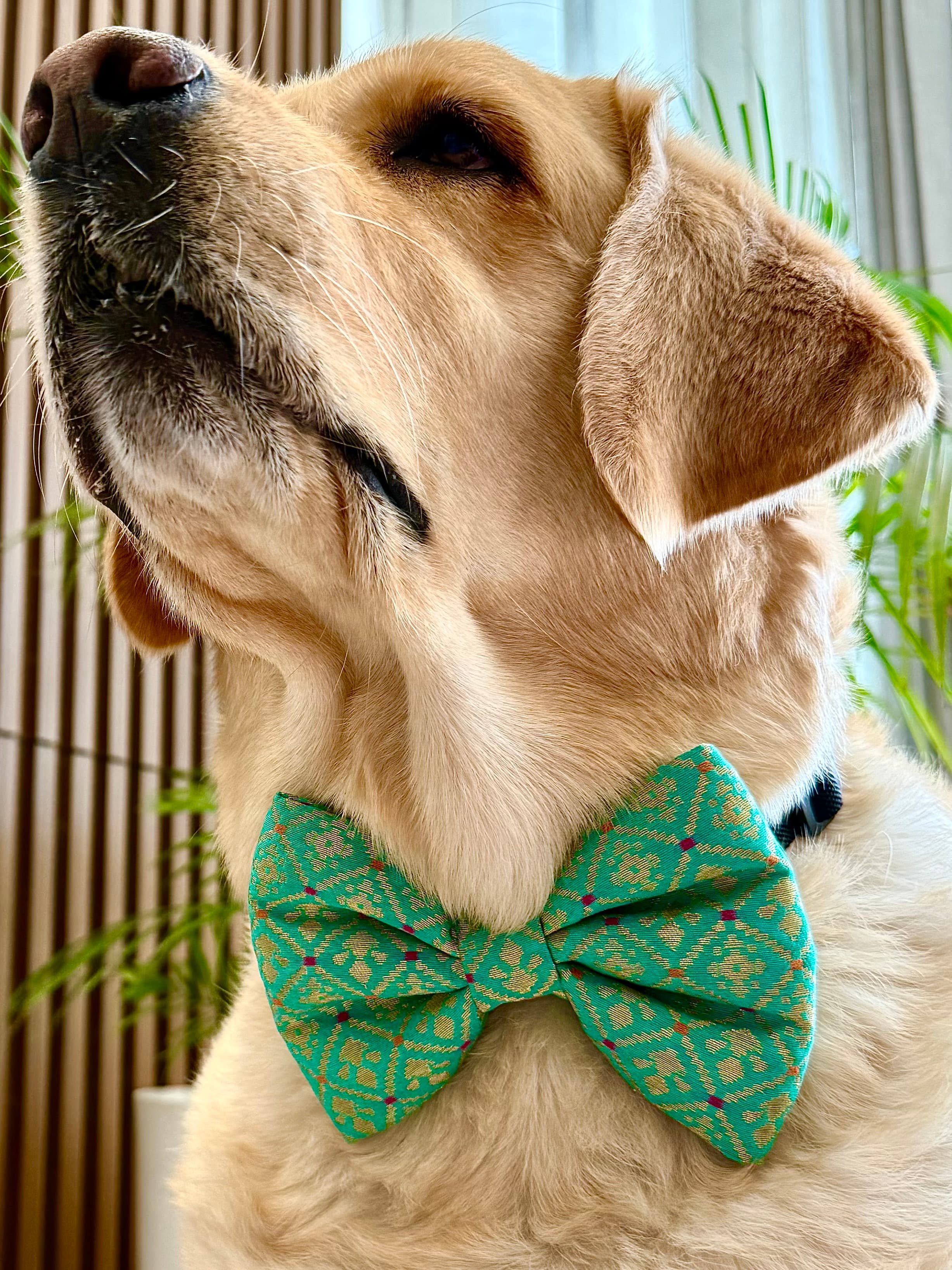 Festive Charm Bow Tie image 4