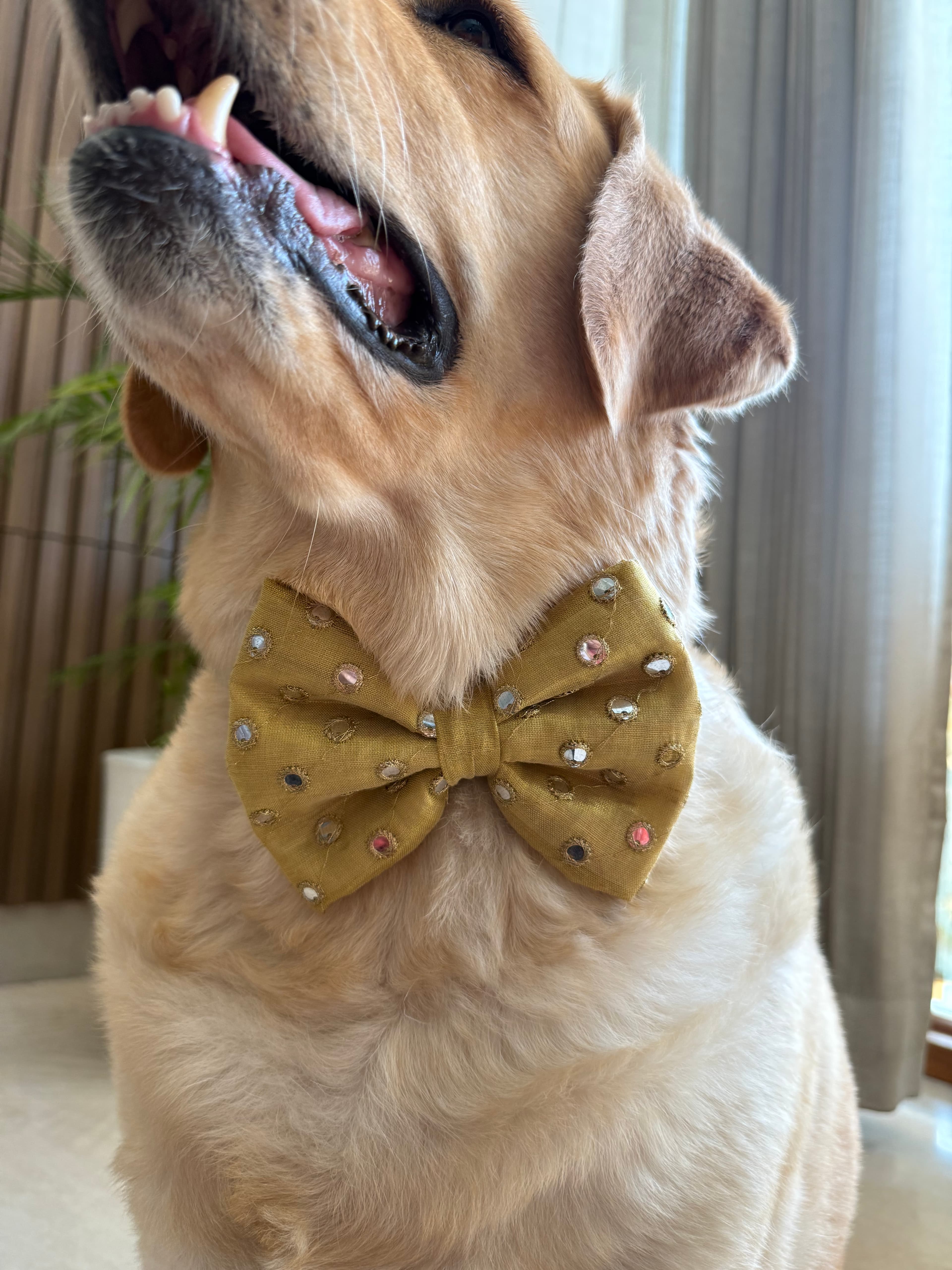 Golden Sparkle Bow Tie 