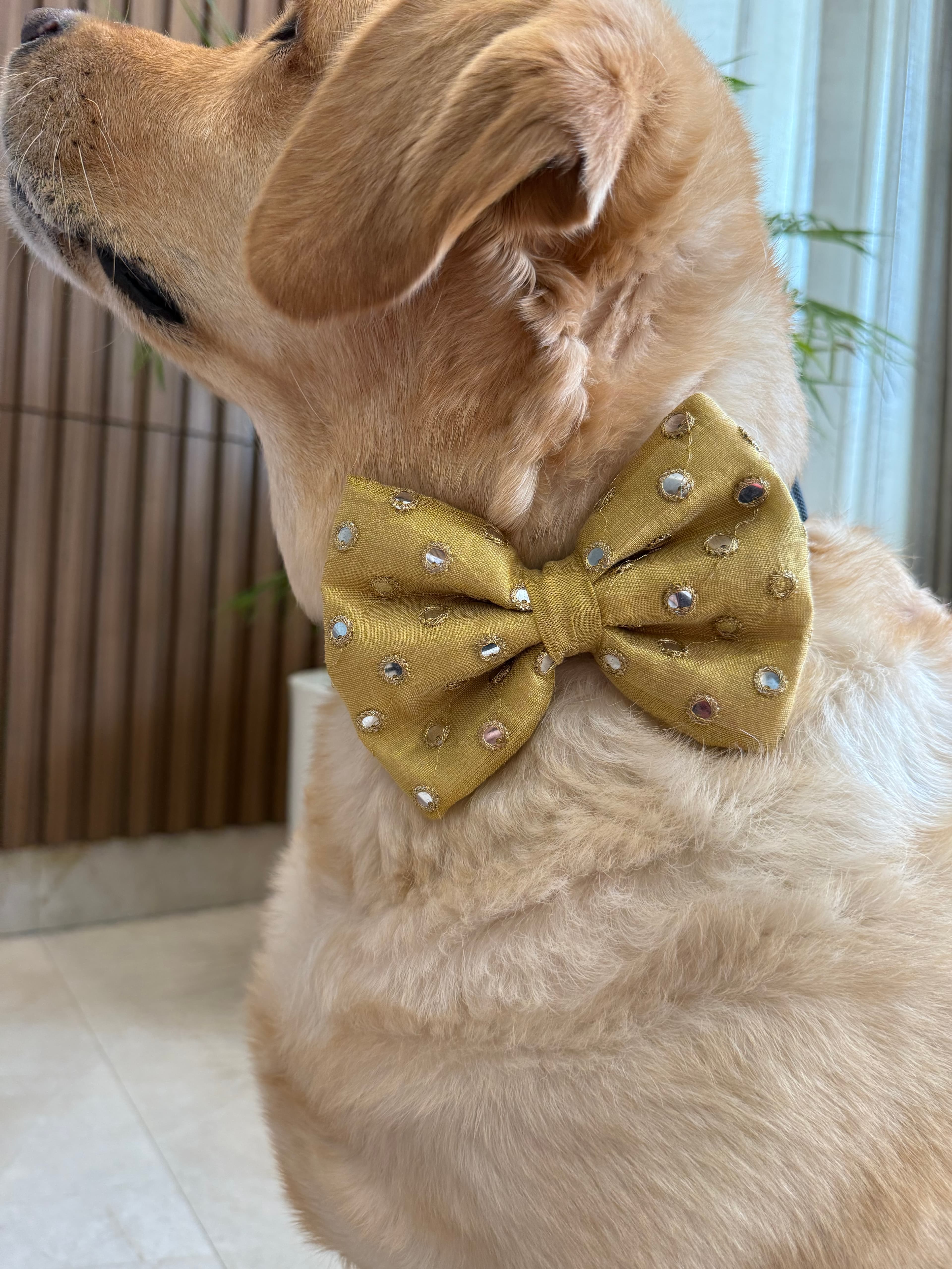 Golden Sparkle Bow Tie  image 5