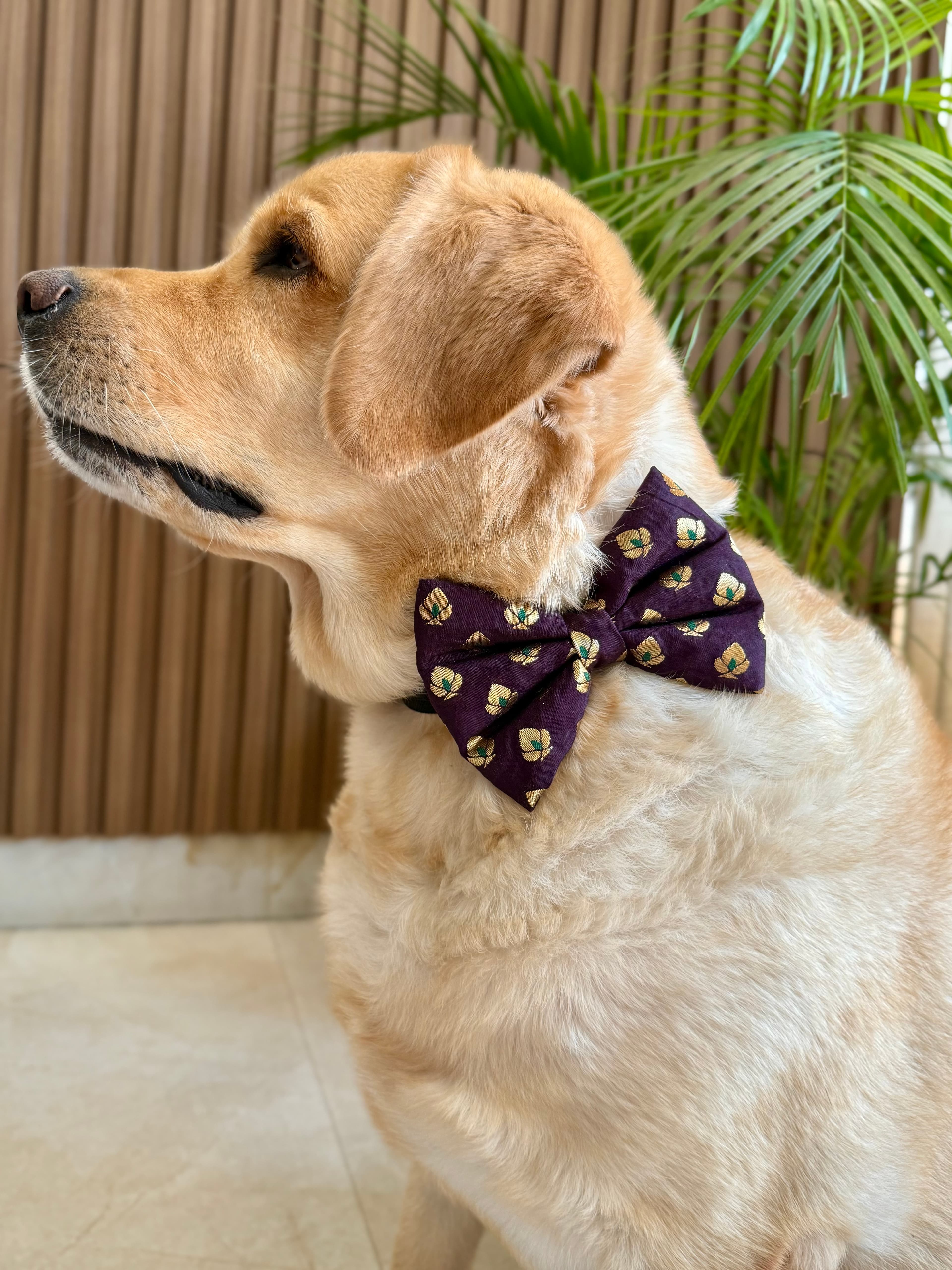 Festive Burgundy Bloom Bow tie image 2