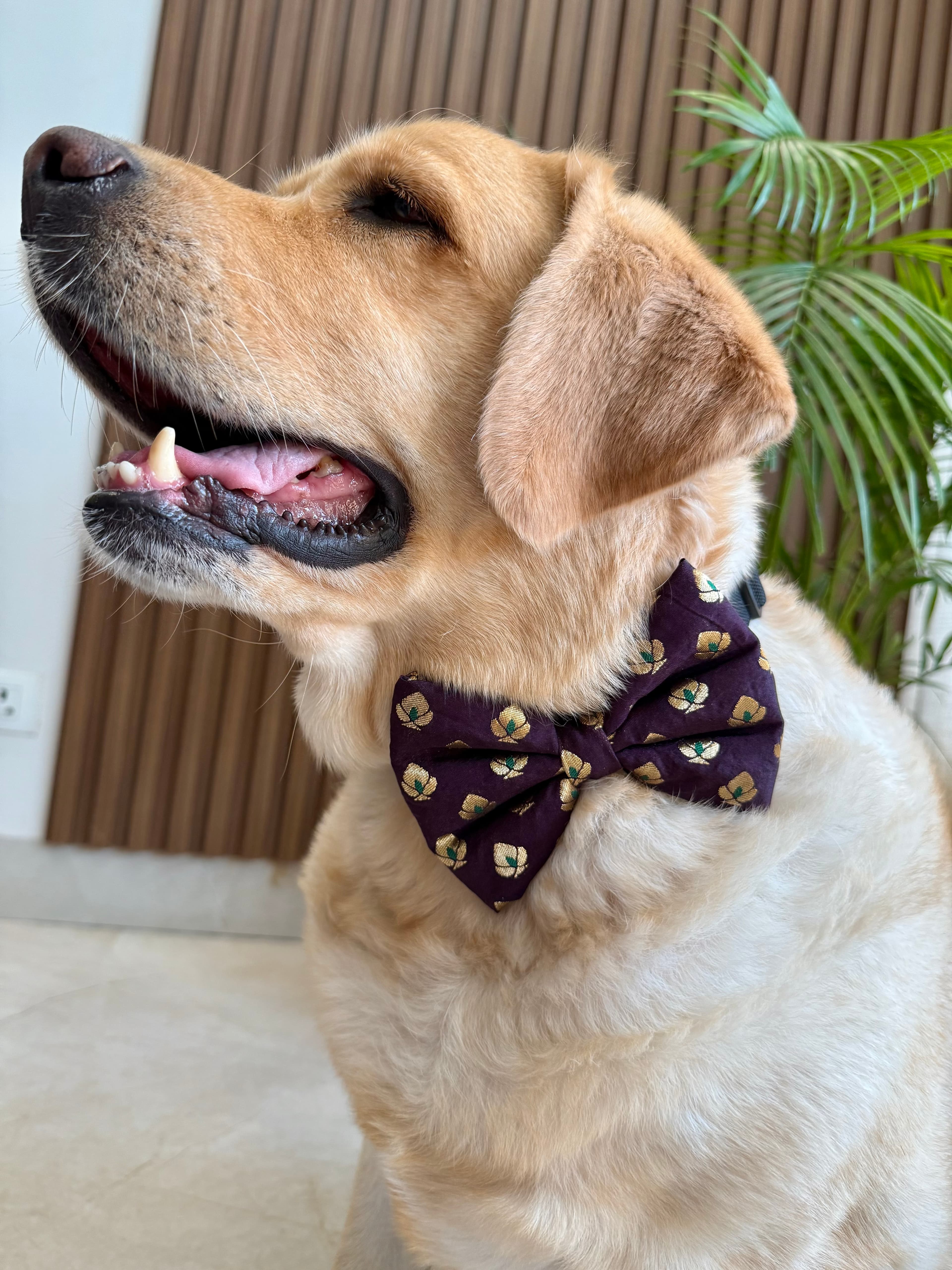 Festive Burgundy Bloom Bow tie image 3