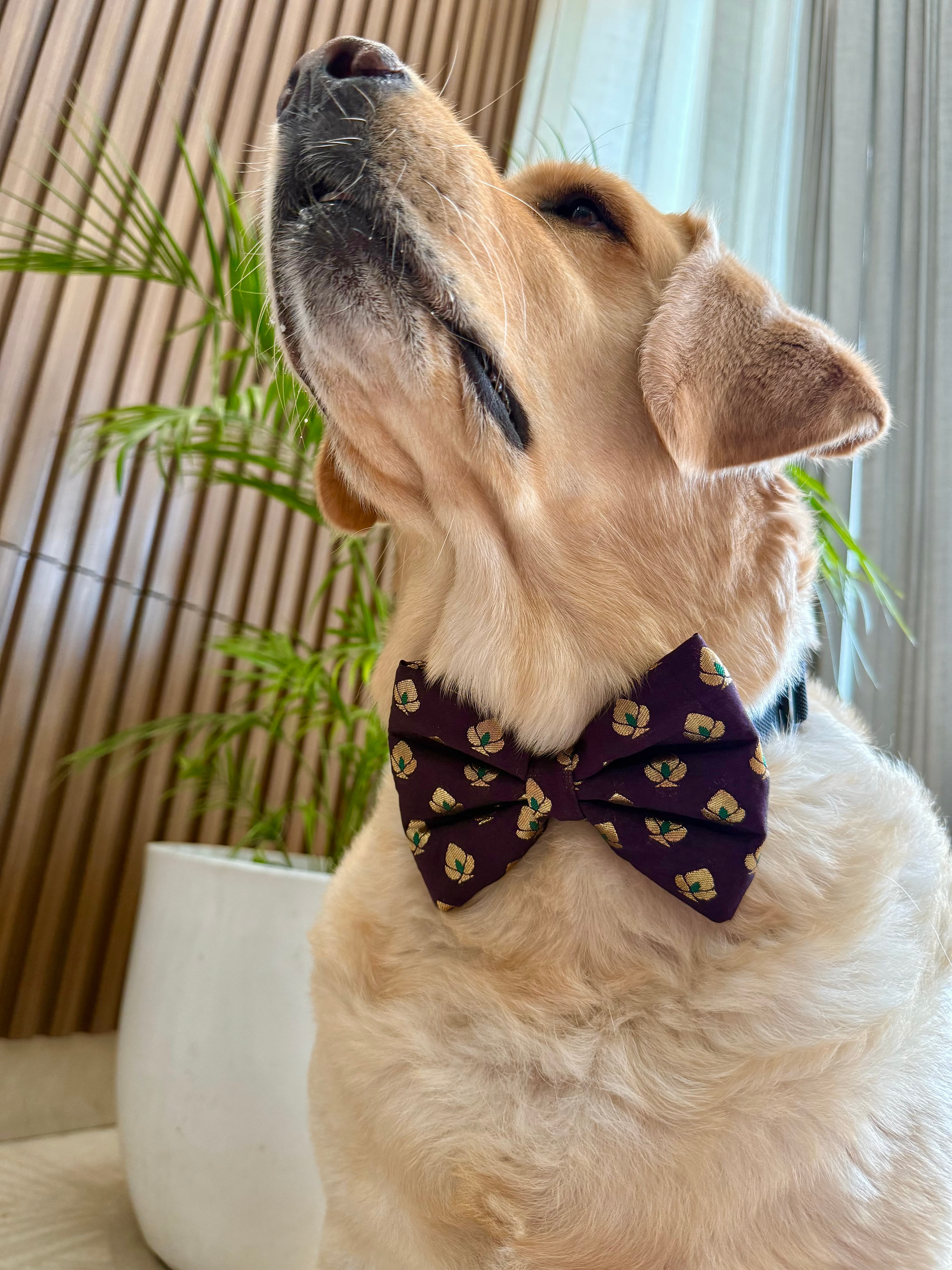 Festive Burgundy Bloom Bow tie image 4