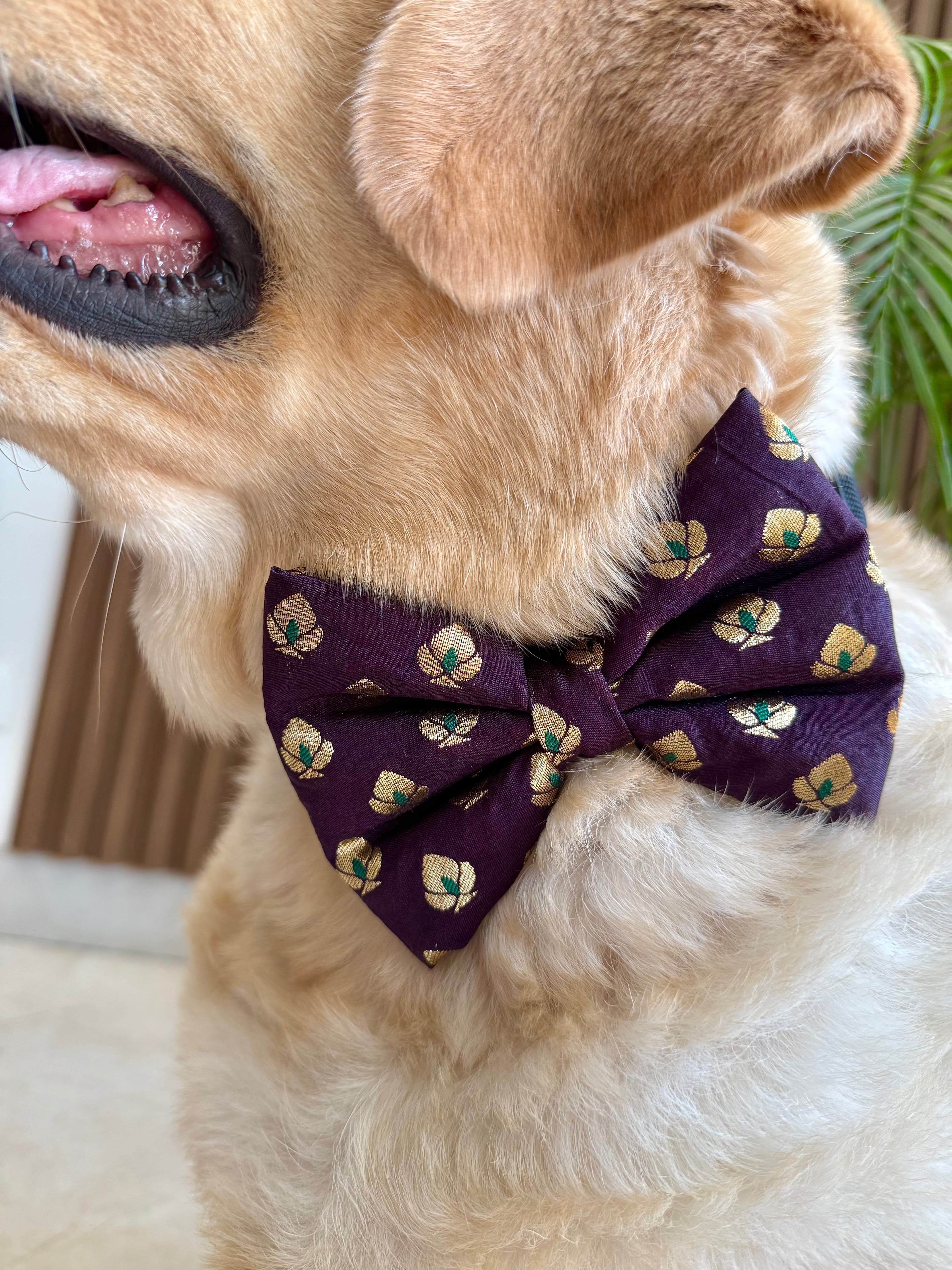 Festive Burgundy Bloom Bow tie image 6