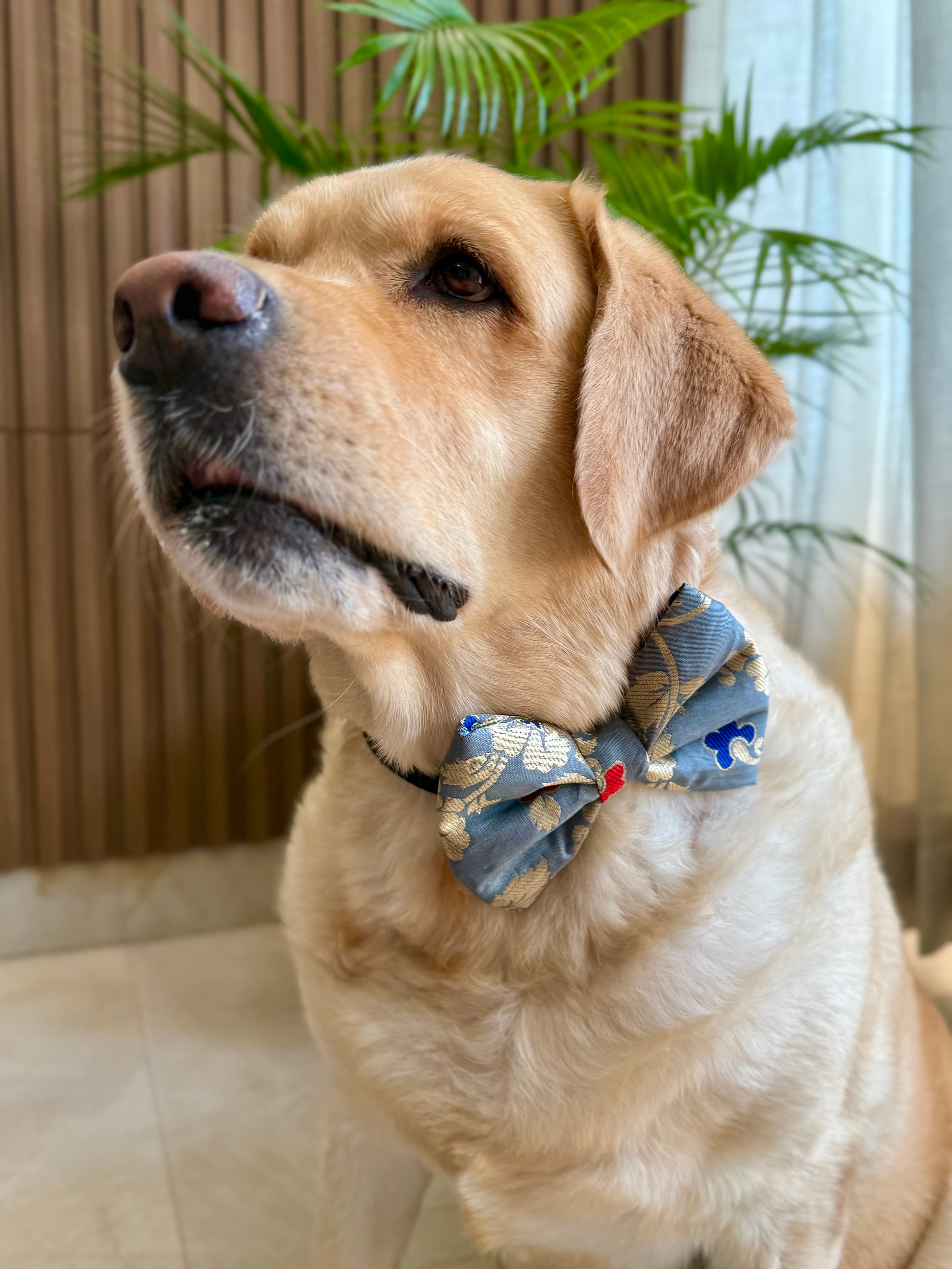 Grey Magic bow tie  image 6