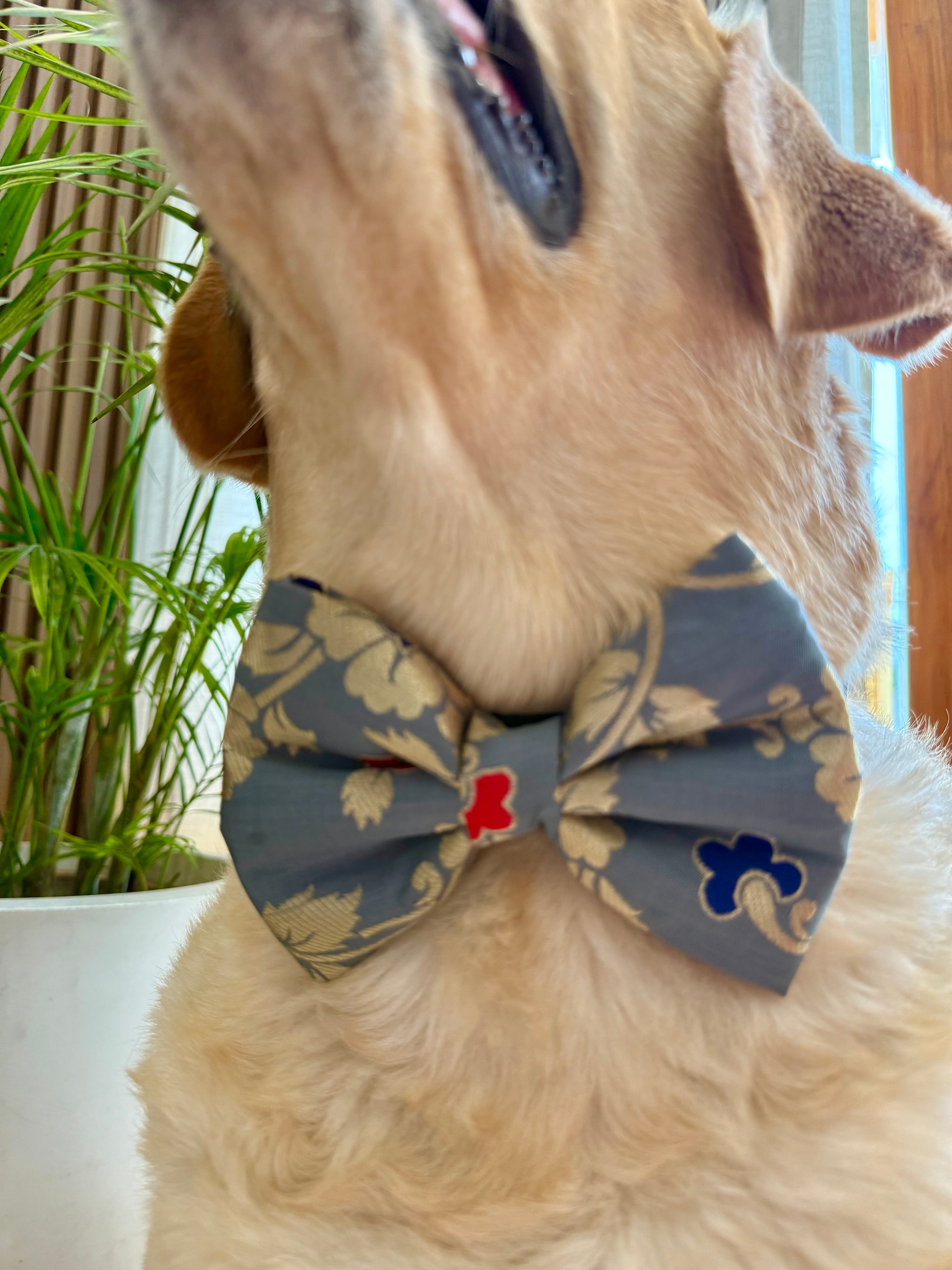 Grey Magic bow tie  image 5