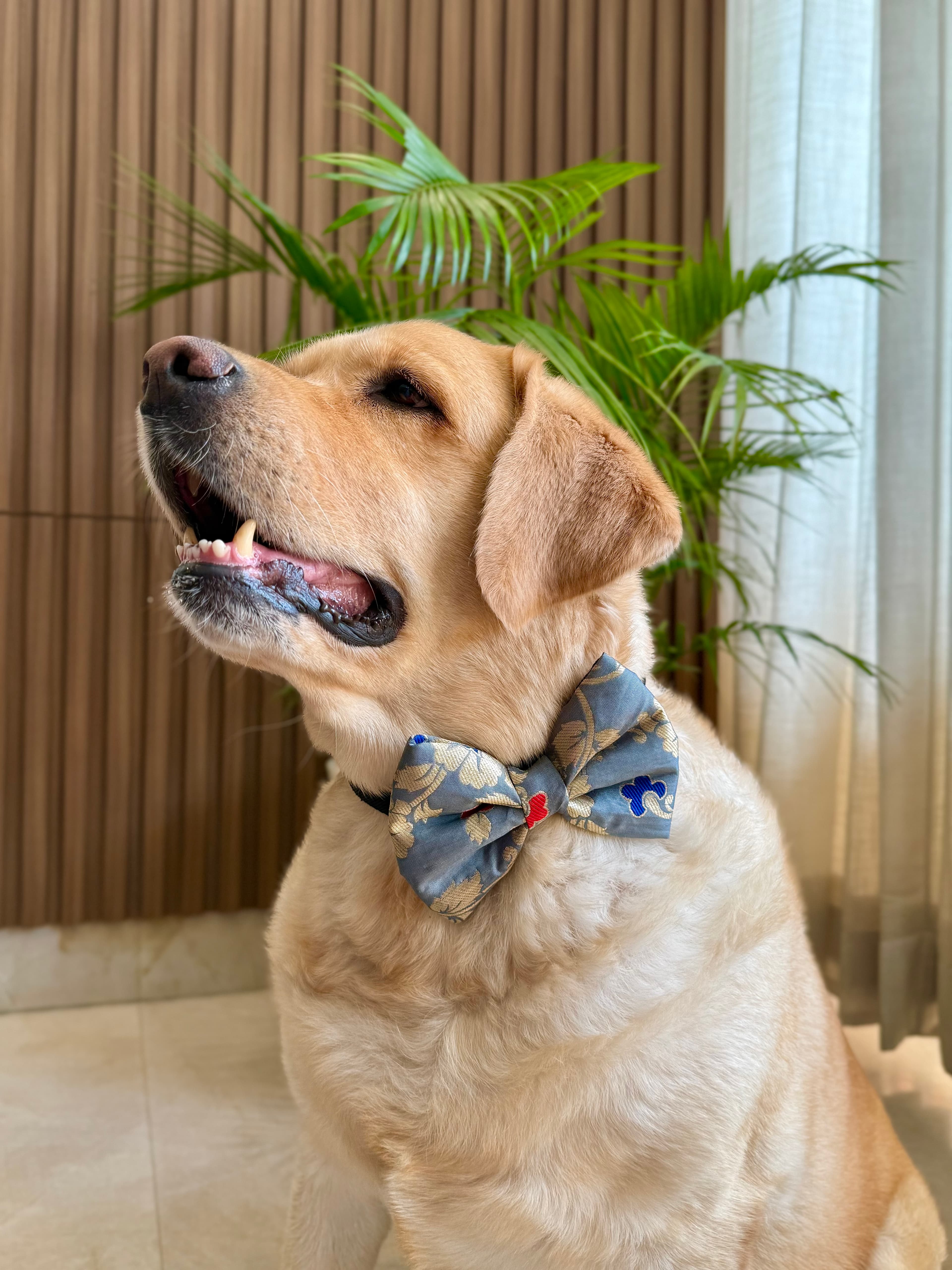 Grey Magic bow tie  image 2