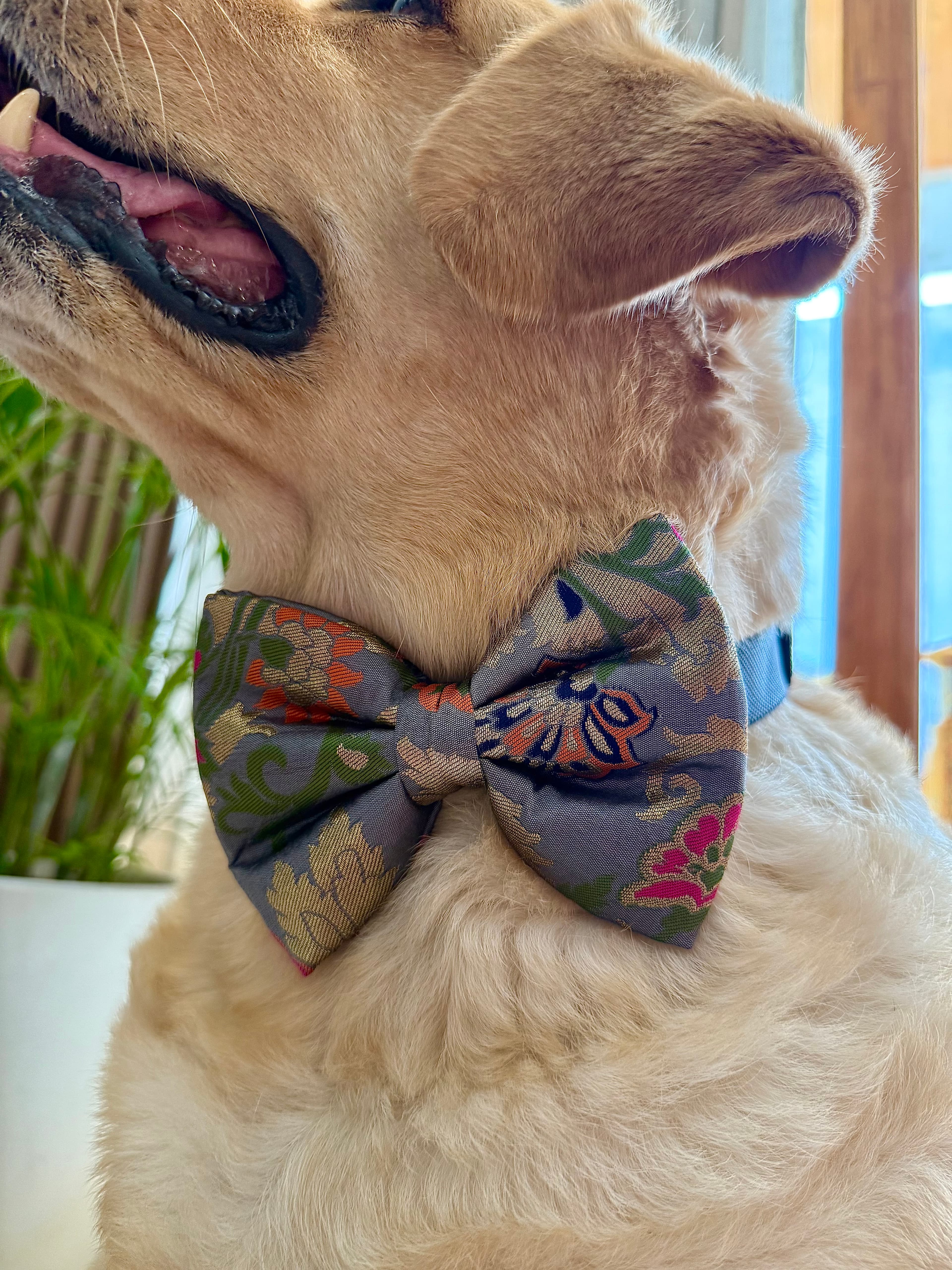 Regal Blossom Bow Tie  image 5