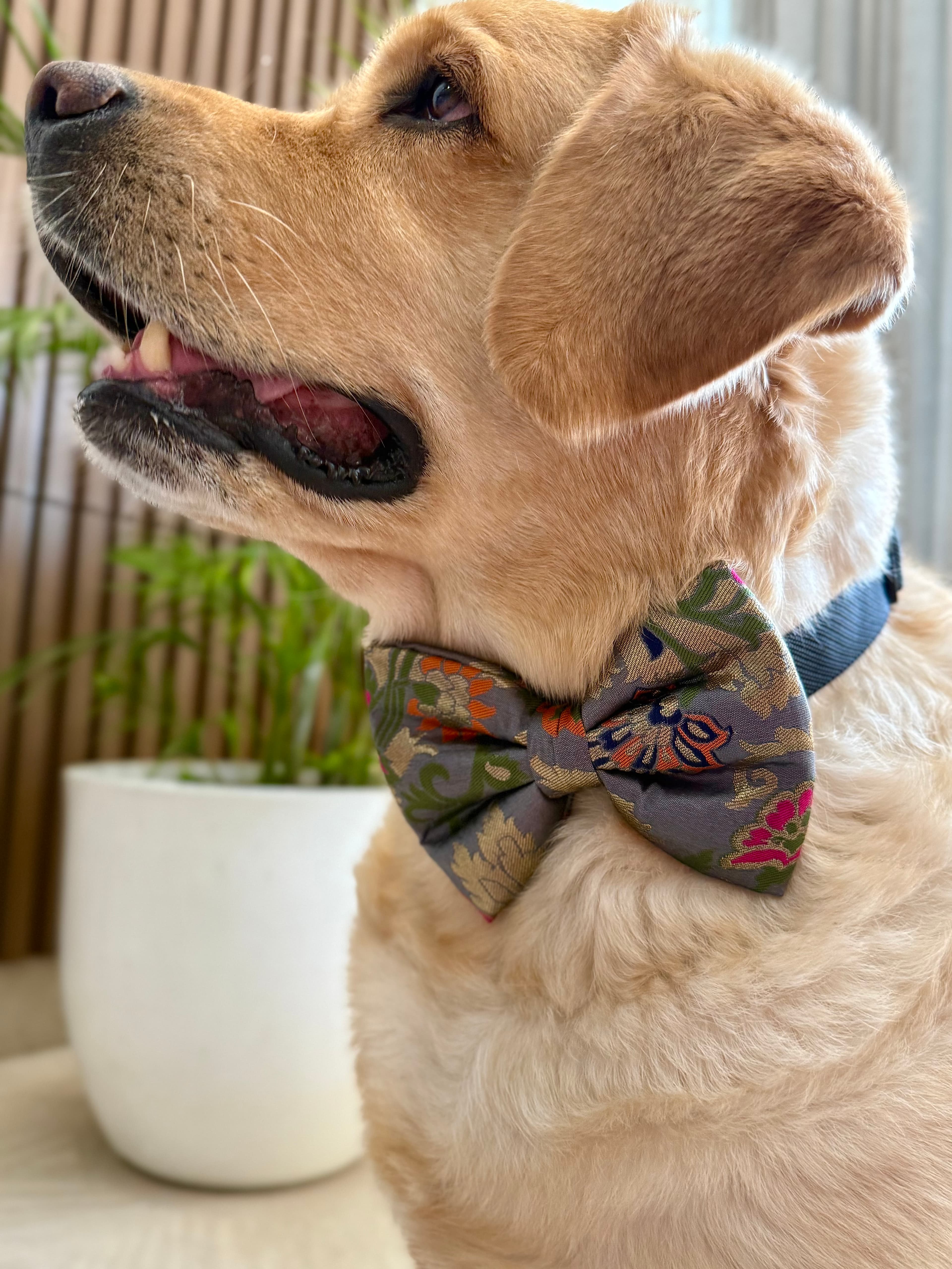 Regal Blossom Bow Tie  image 2