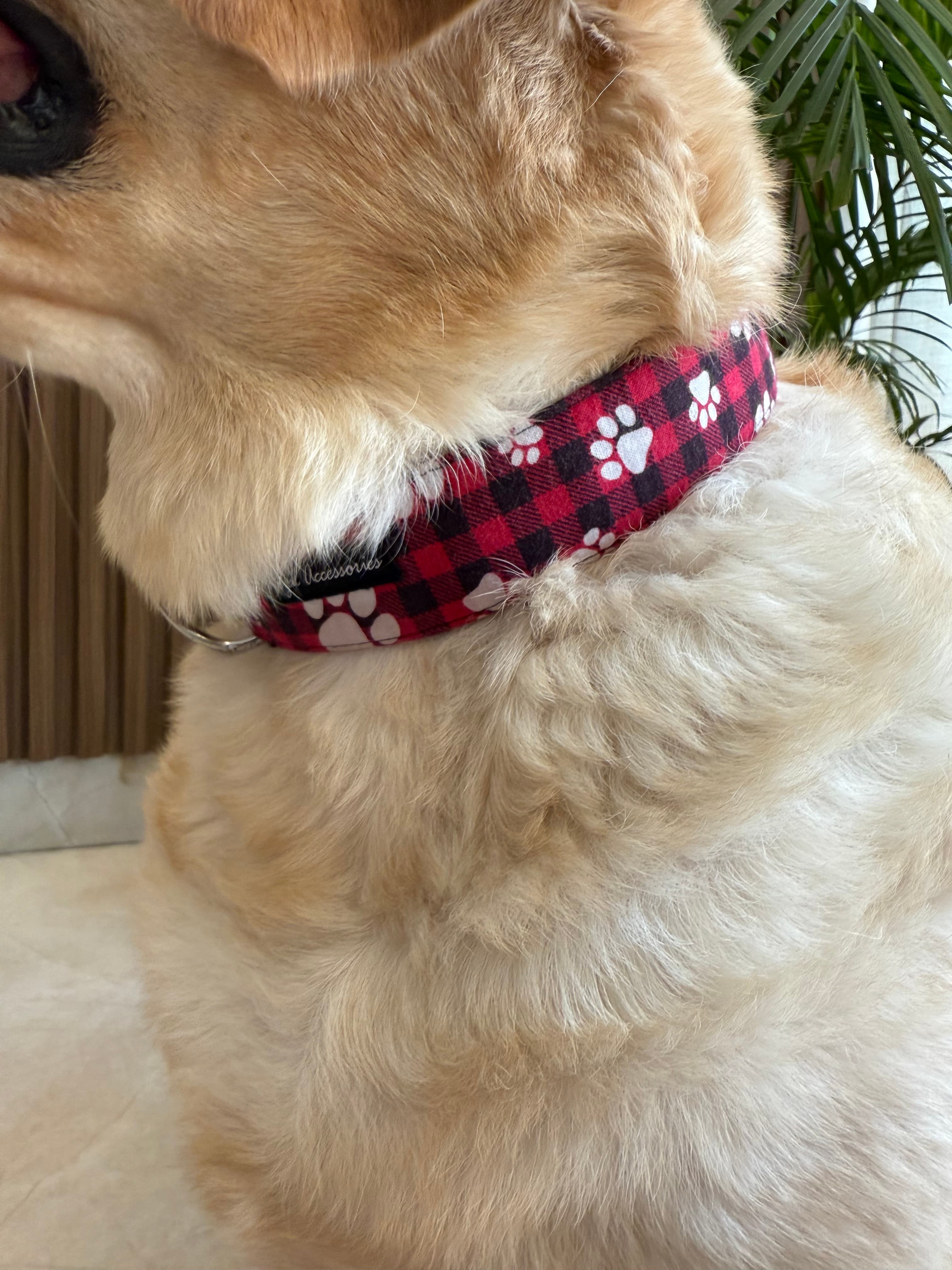 Plaid Pawfect Collar image 6