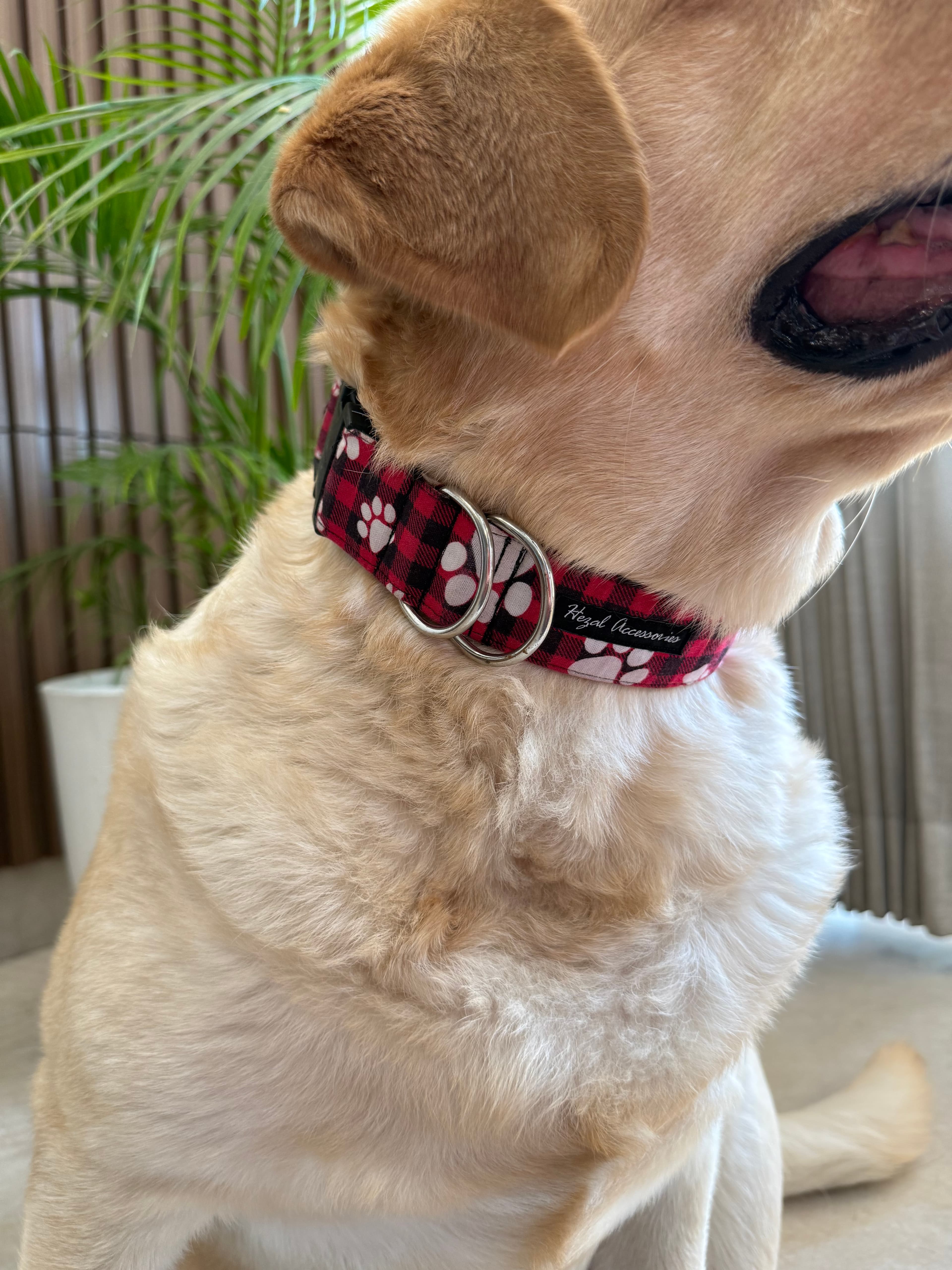 Plaid Pawfect Collar image 4