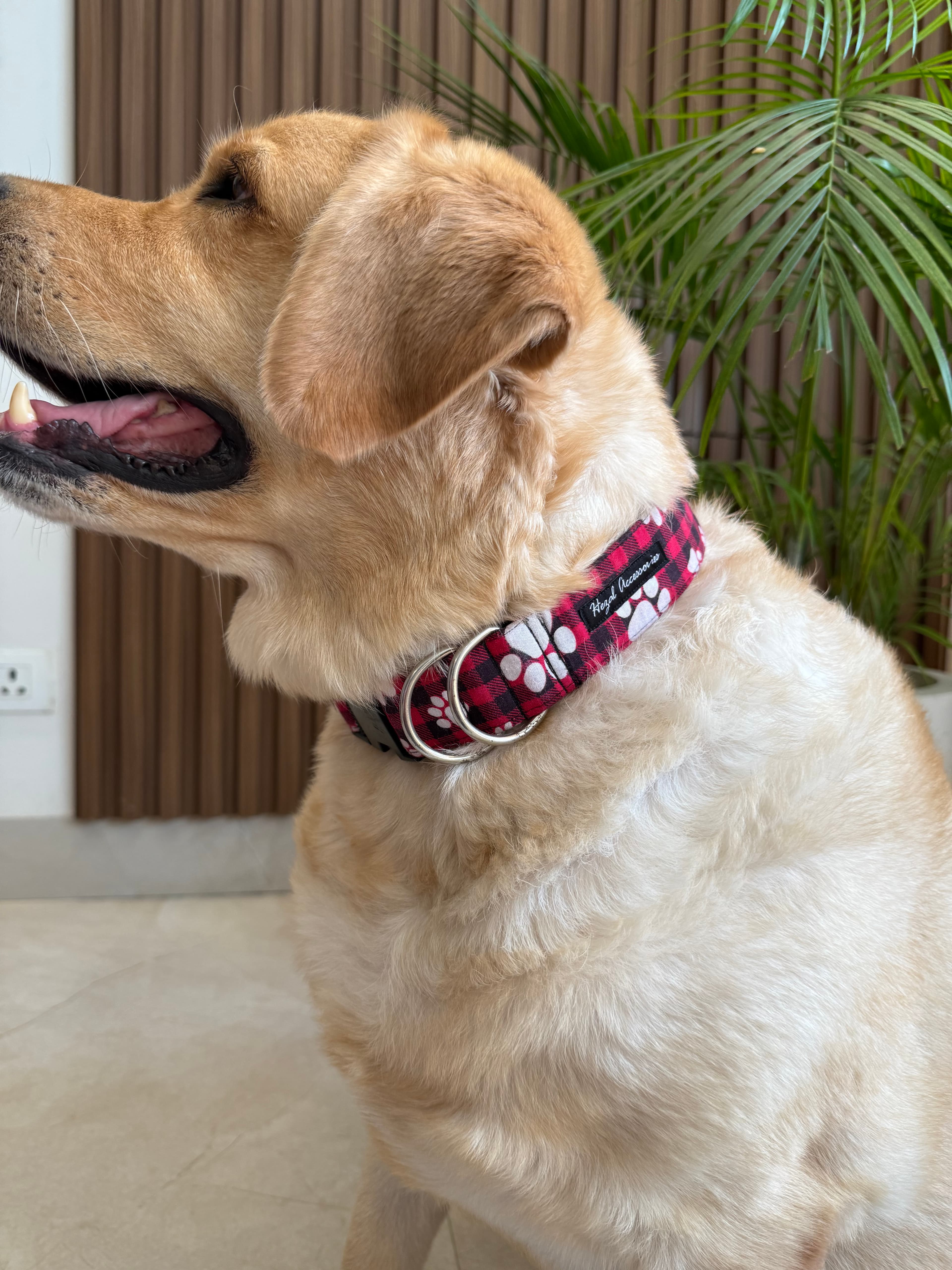 Plaid Pawfect Collar image 2