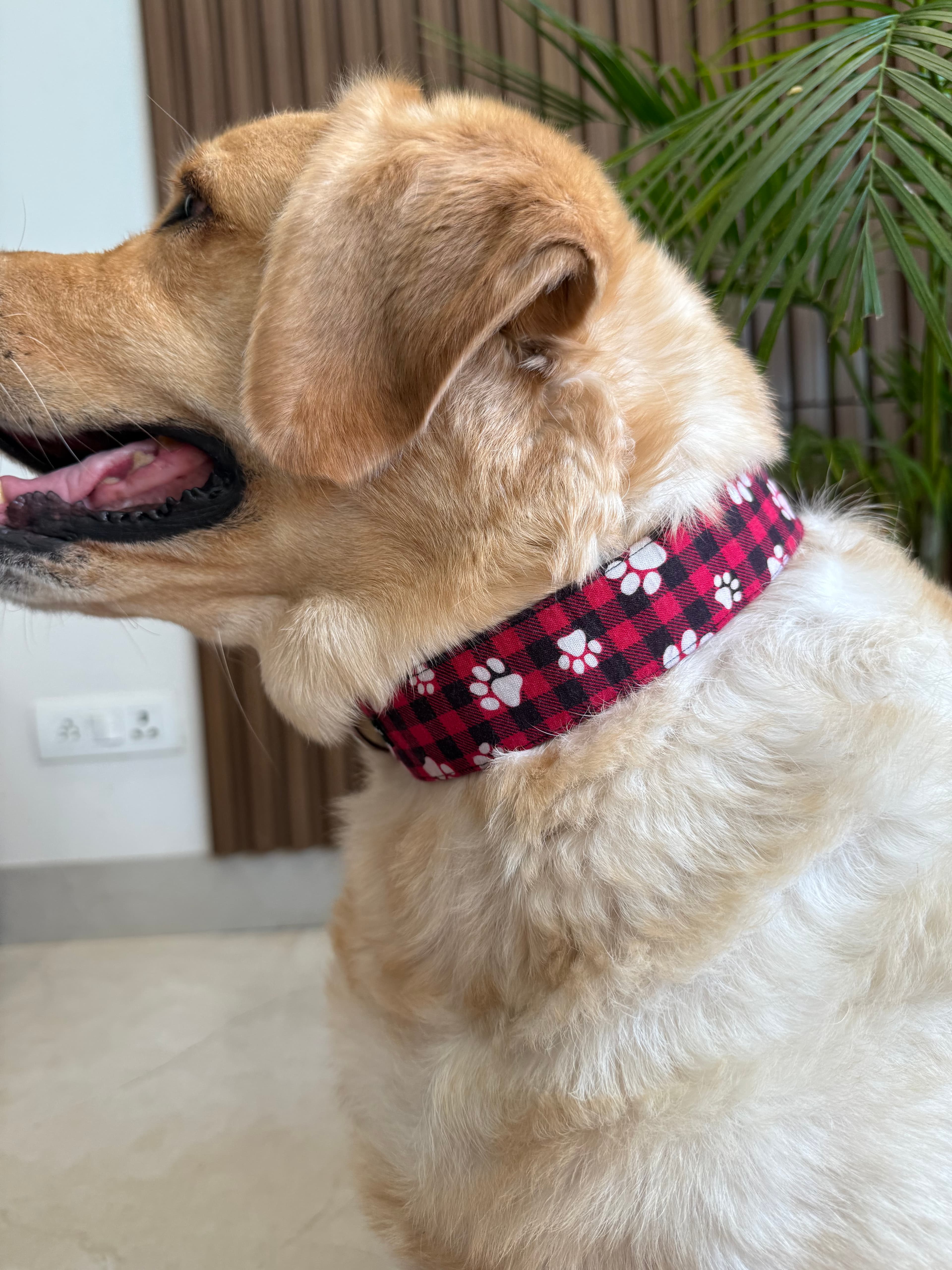 Plaid Pawfect Collar
