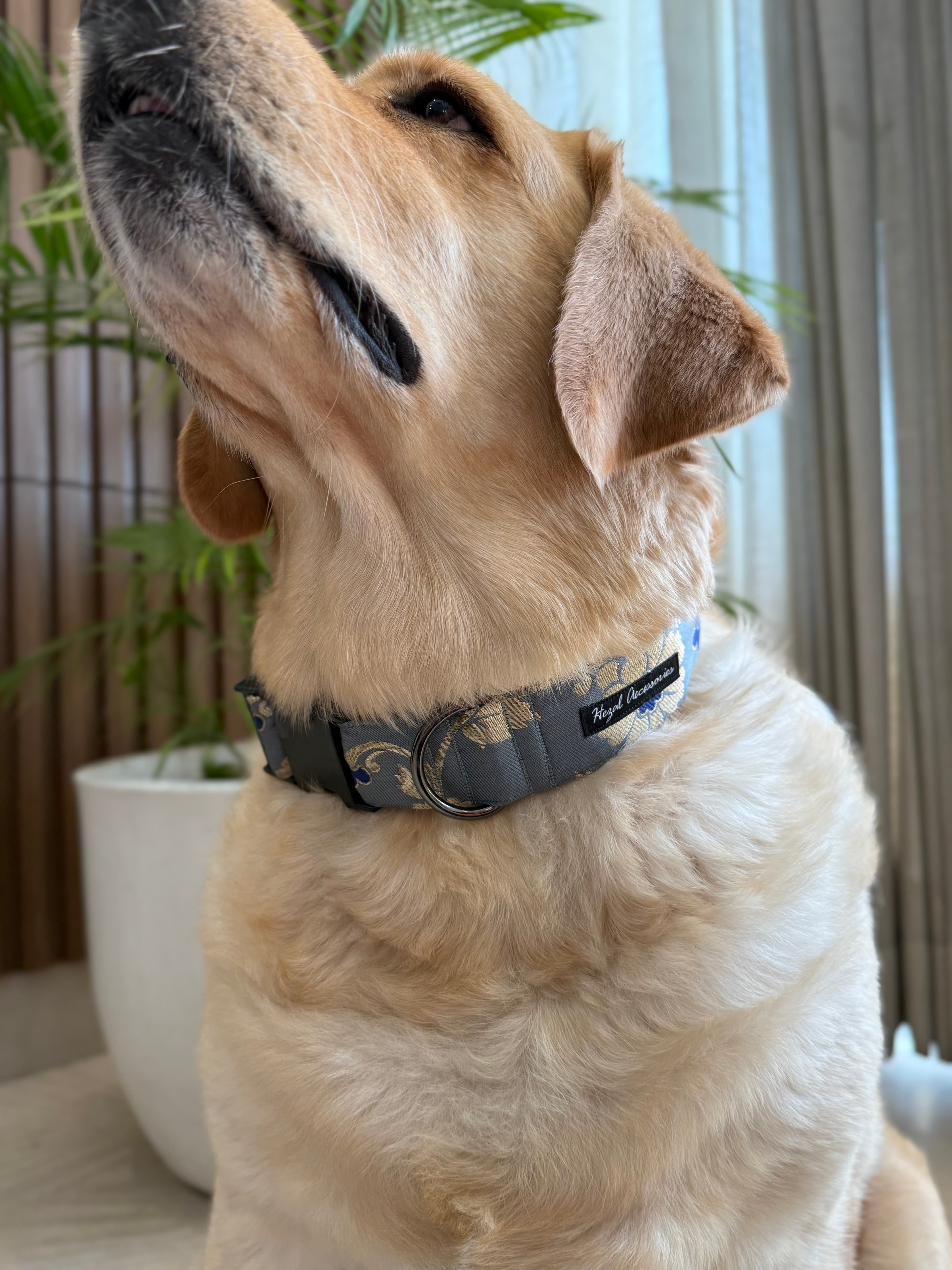 Royal Elegance Collar image 2