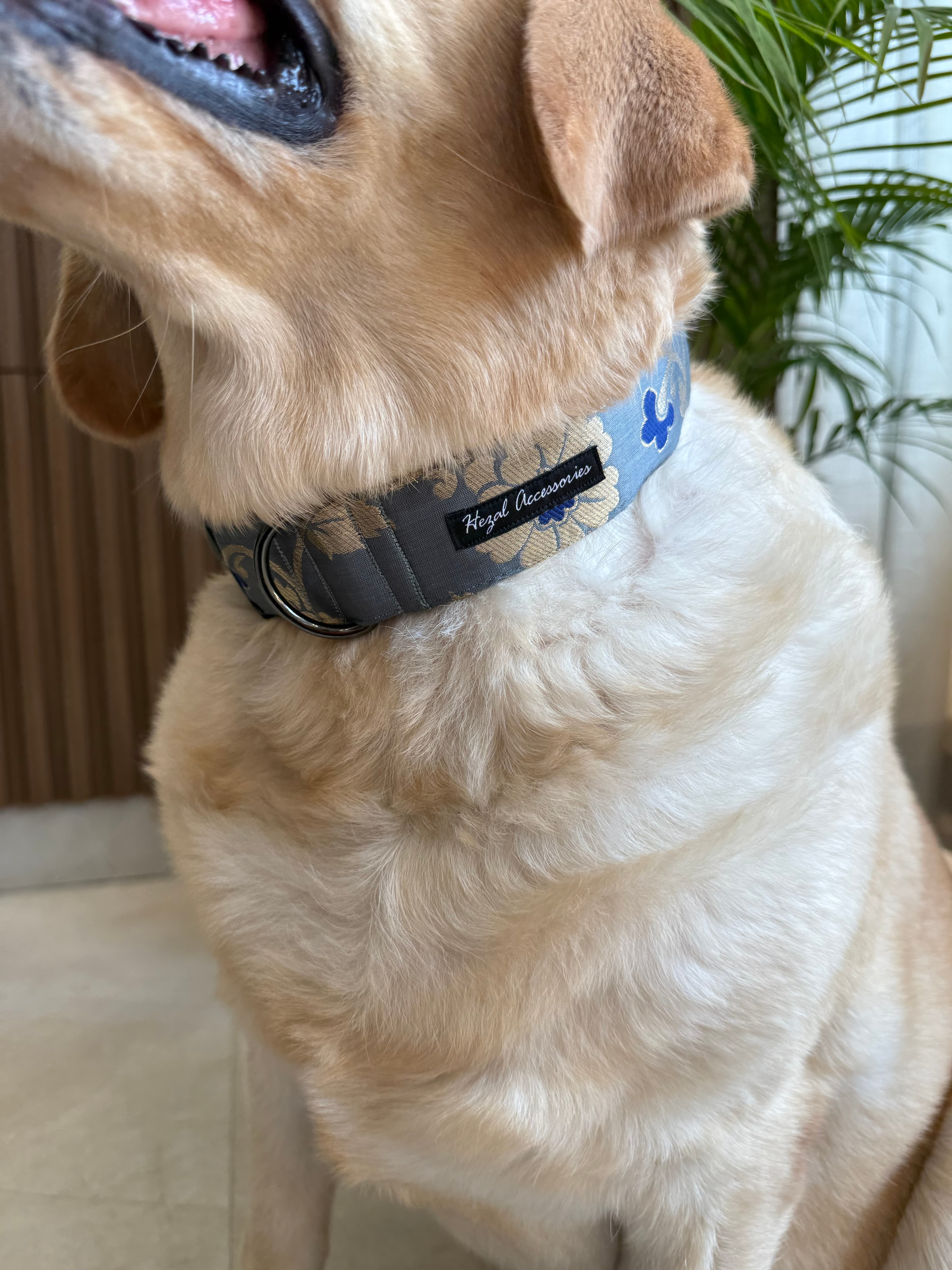 Royal Elegance Collar image 4