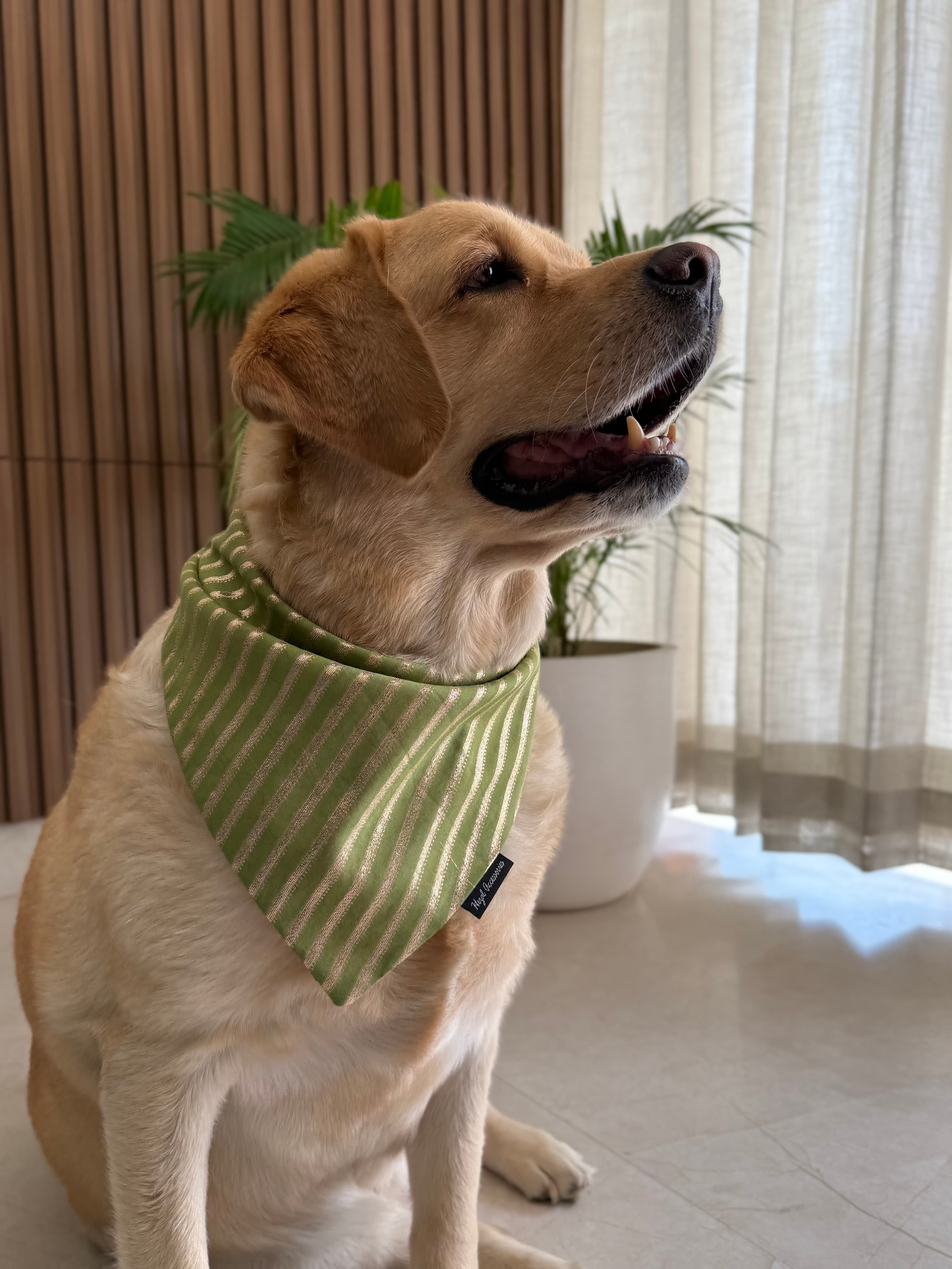 Olive Luxe festive Bandana
