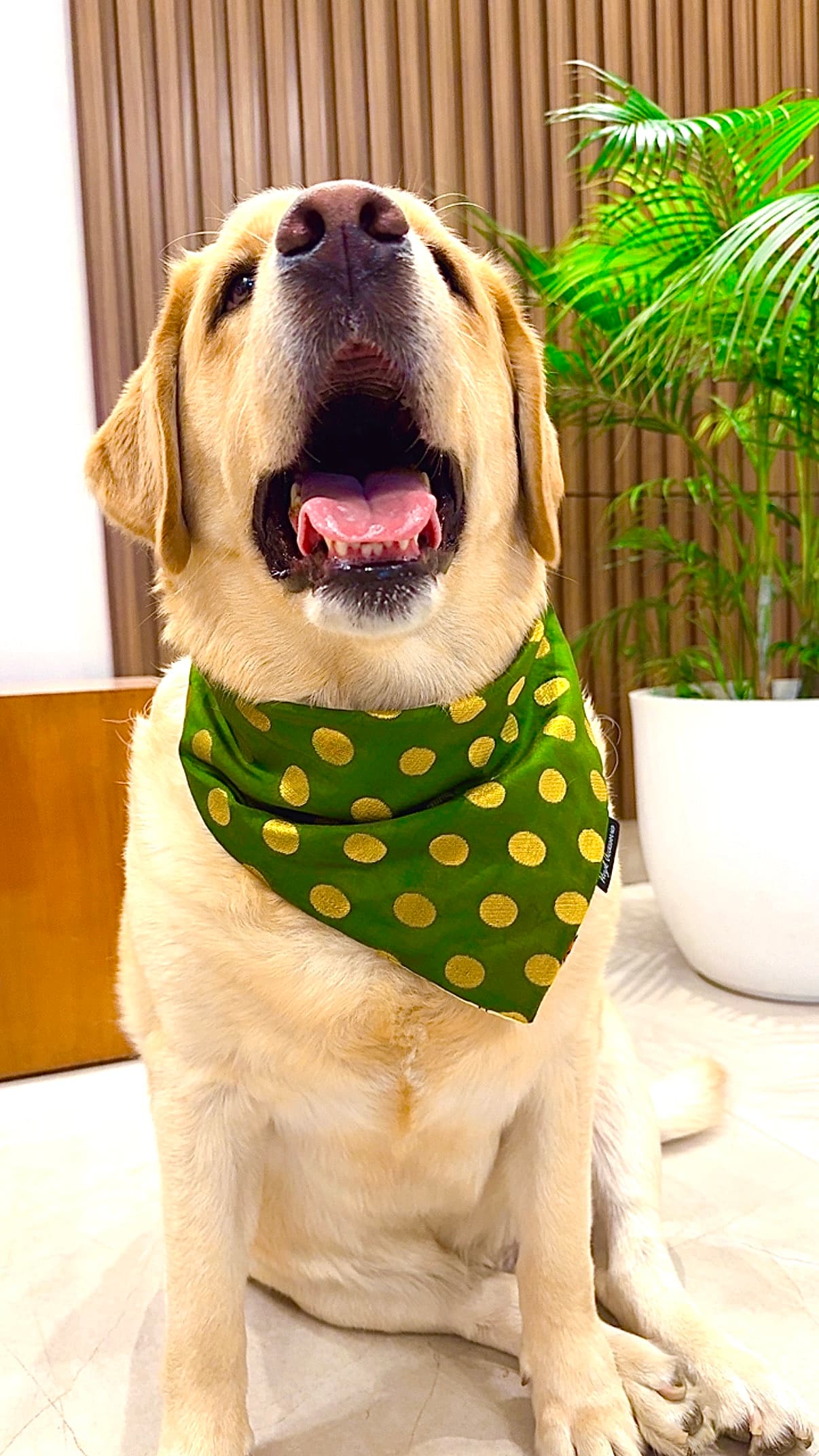 Green Gleam Polka Bandana