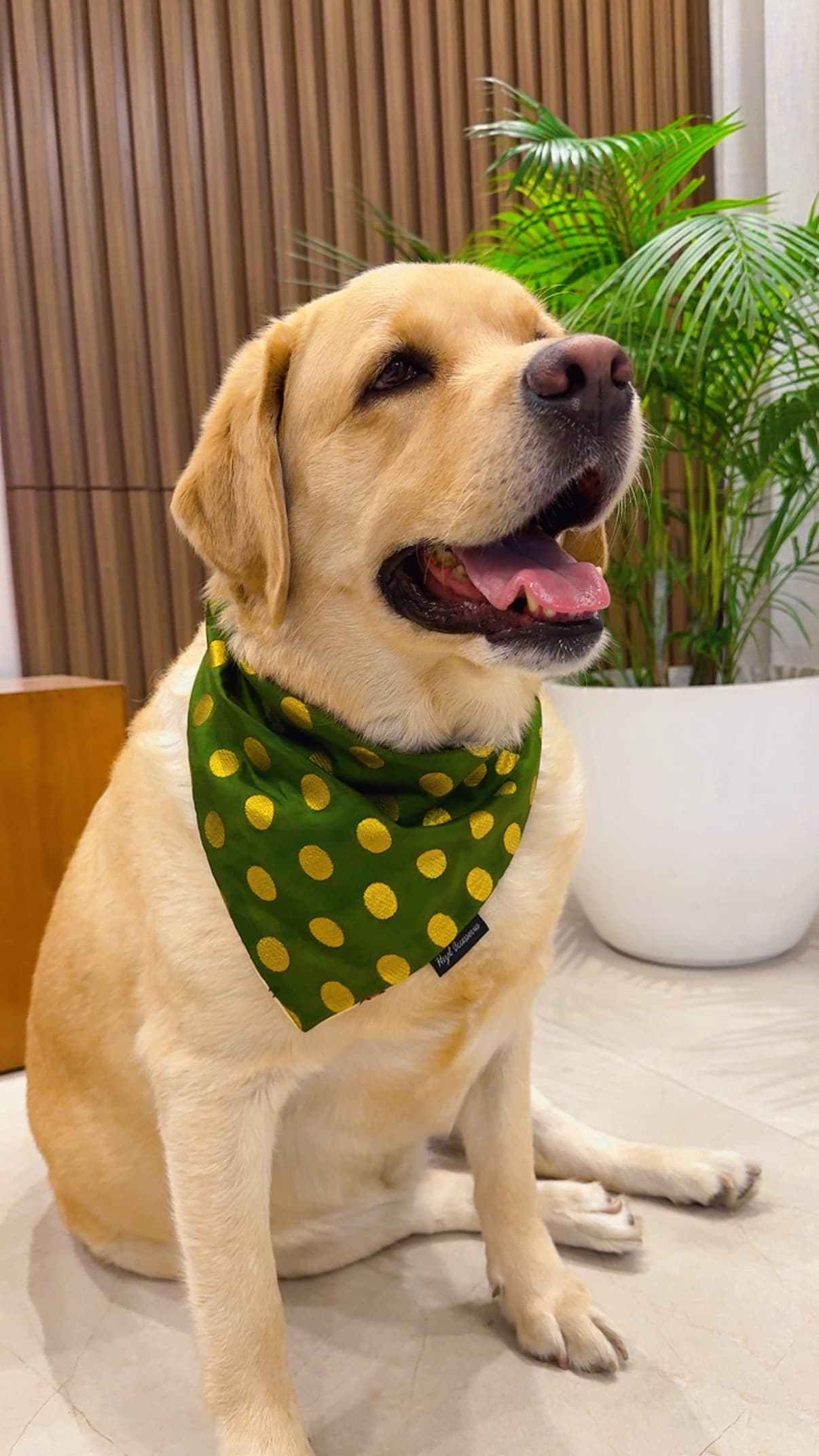 Green Gleam Polka Bandana image 2