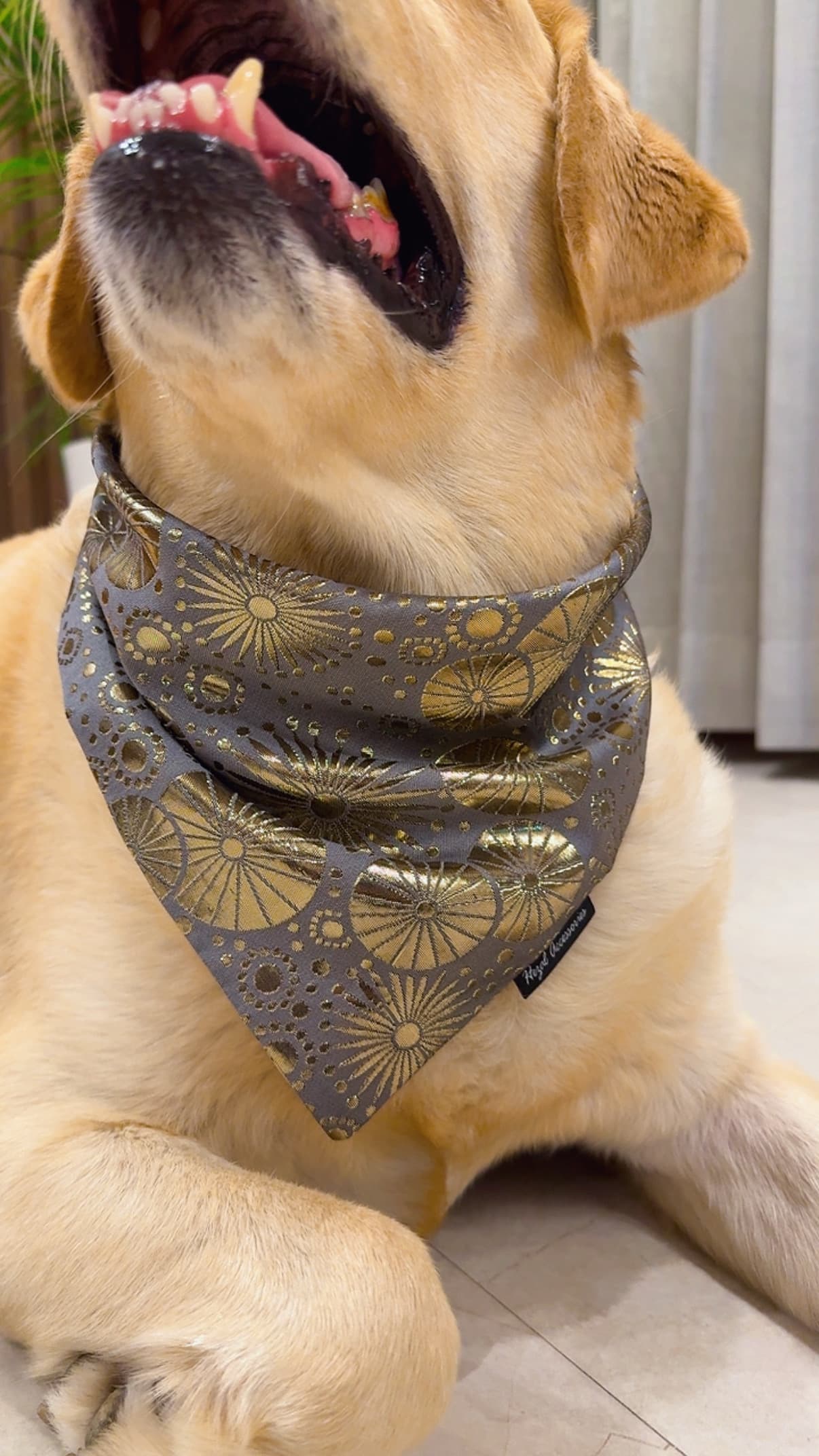 Fuljhari festive bandana  image 3