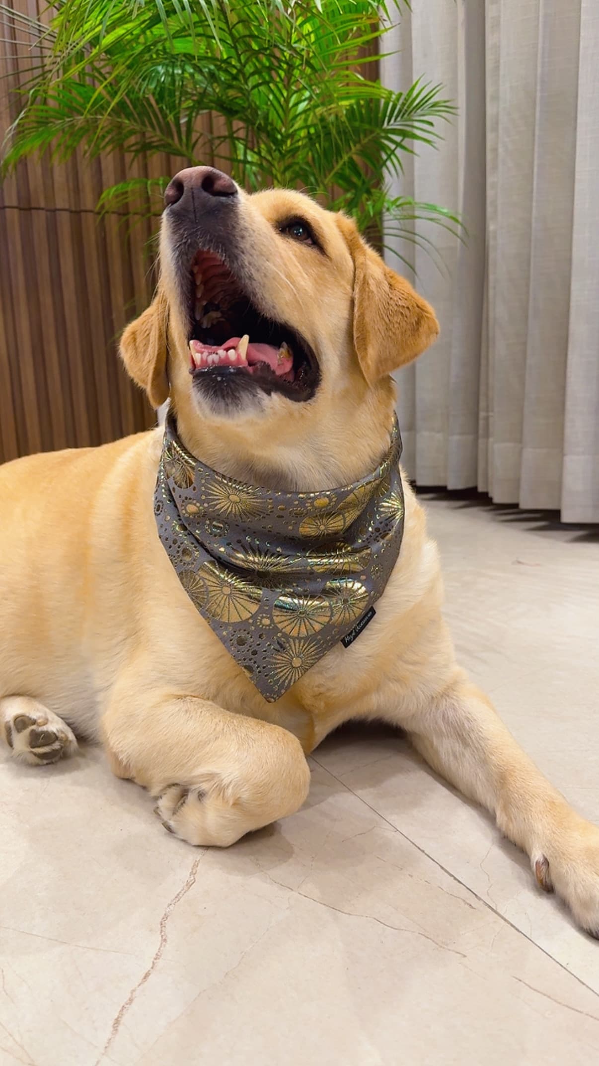 Fuljhari festive bandana  image 2