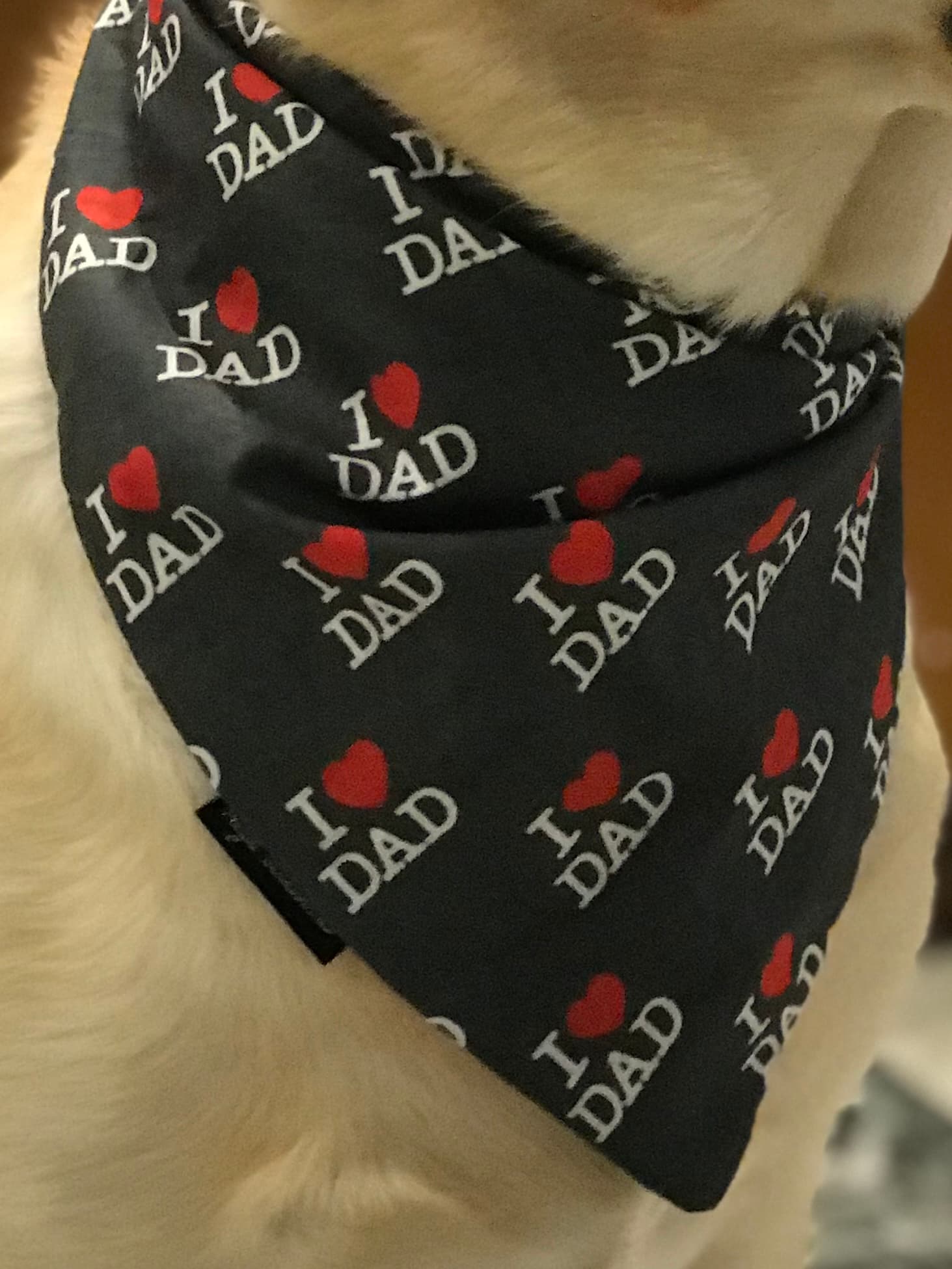 Dad’s Favorite Pup image 5