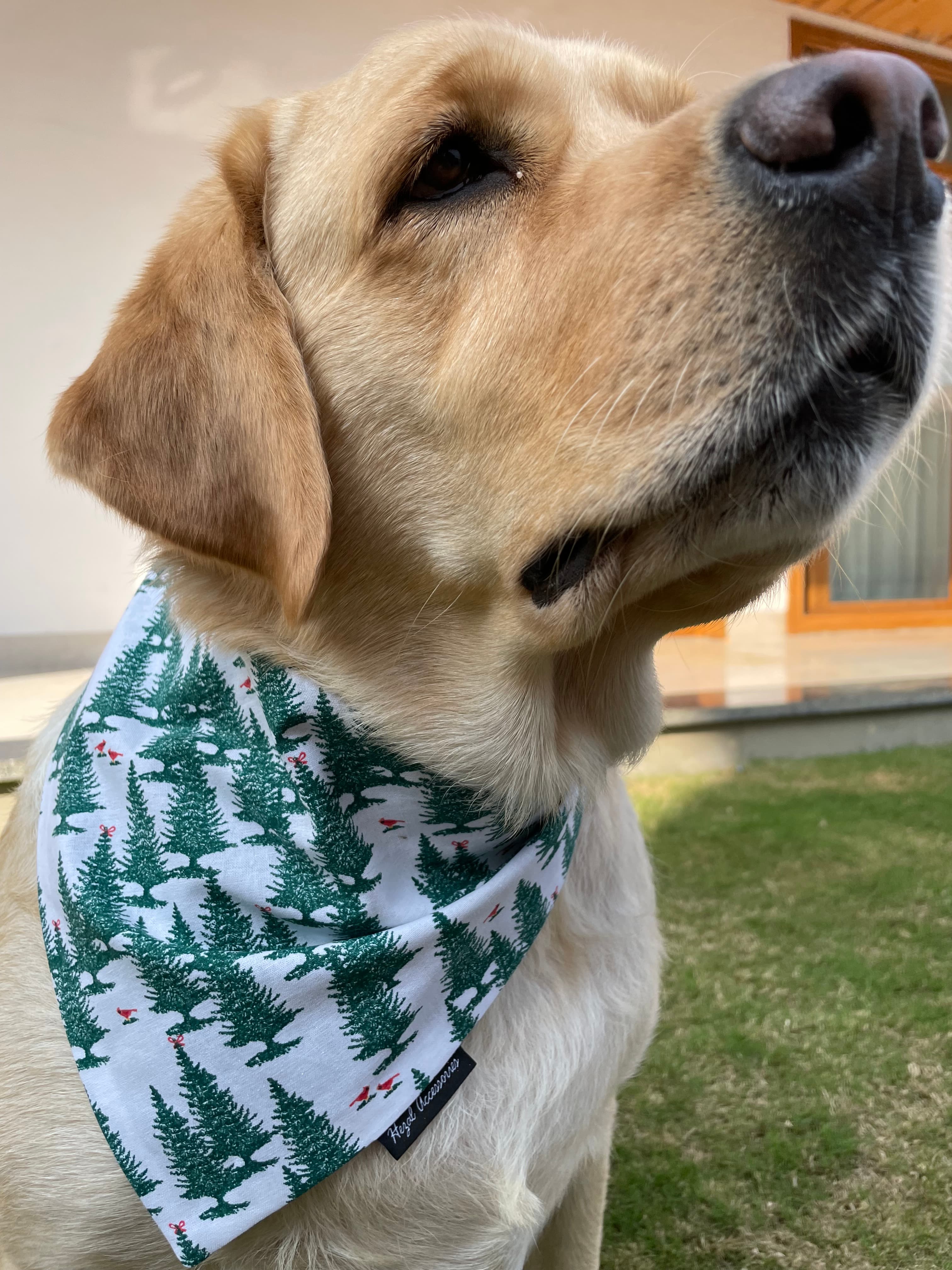 Winter Pines Tie-On Bandana image 3