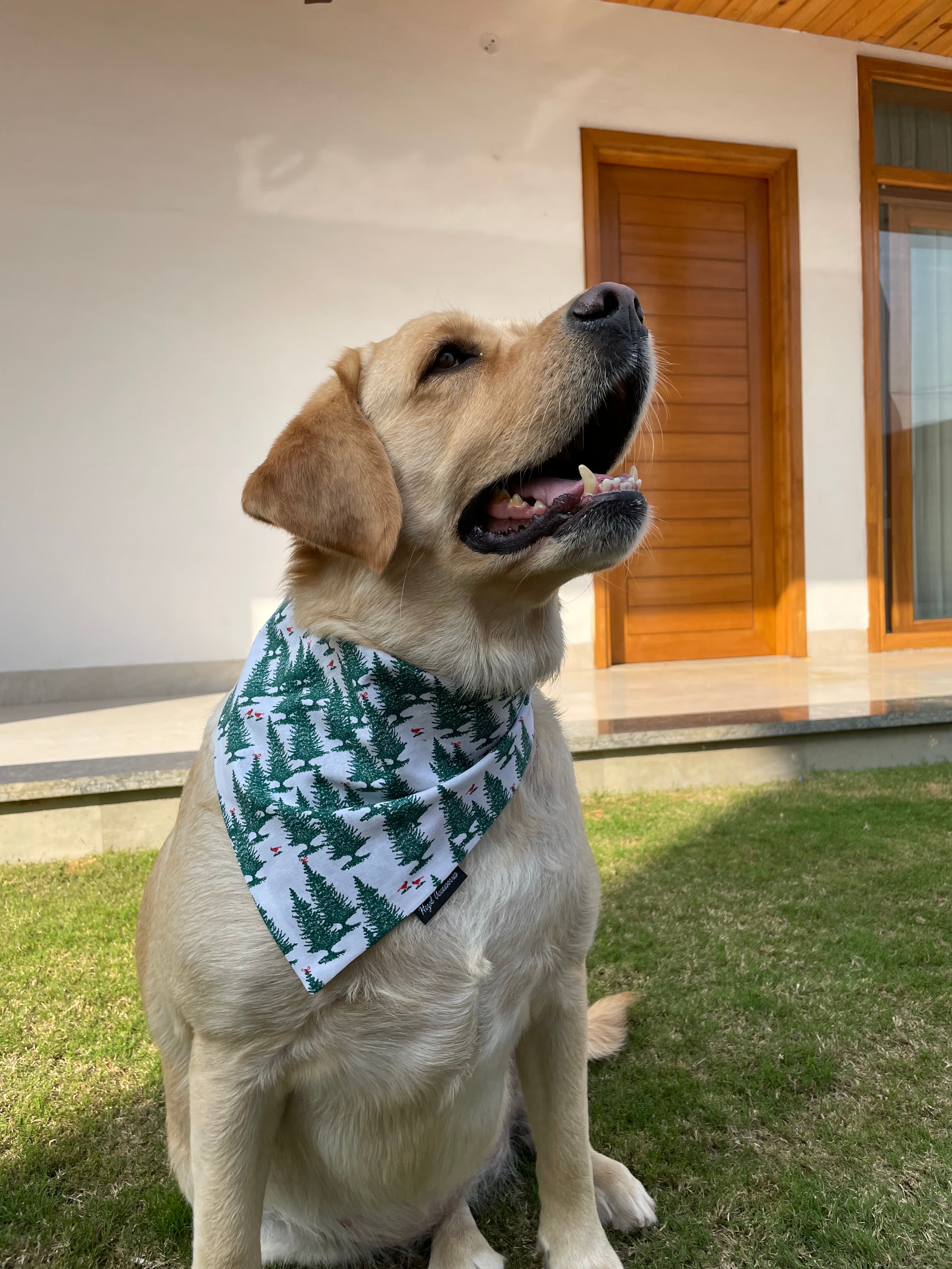 Winter Pines Tie-On Bandana