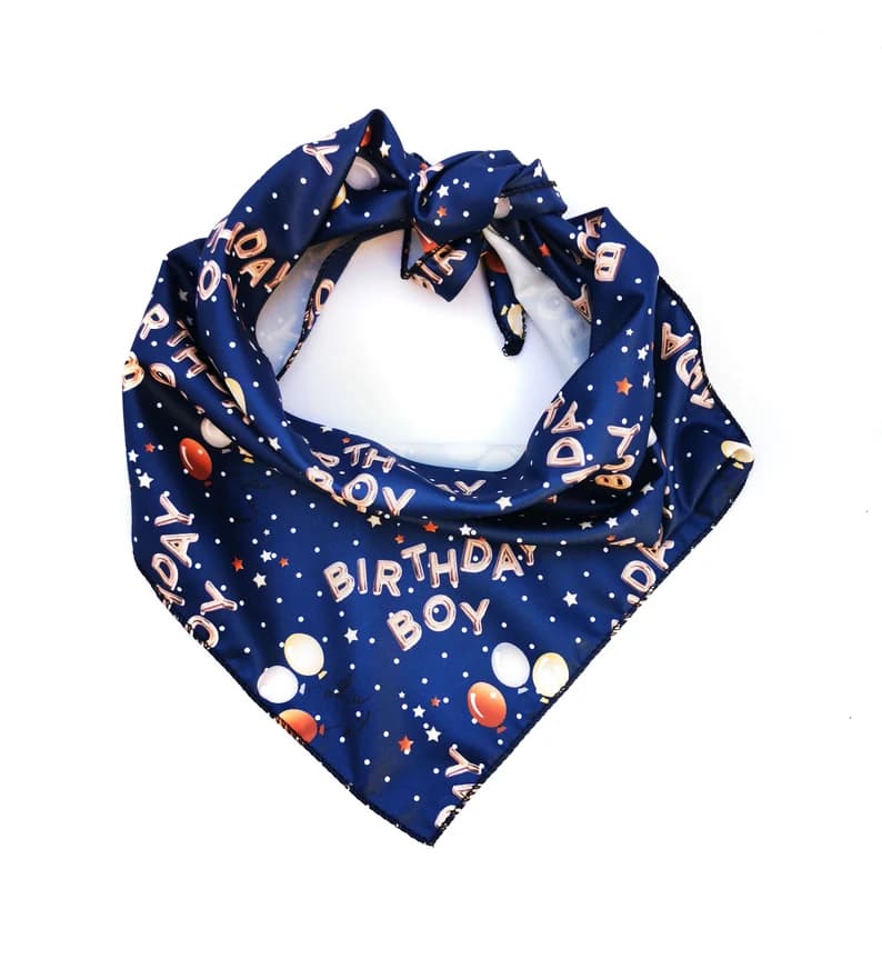 Birthday boy tie on bandana  image 2