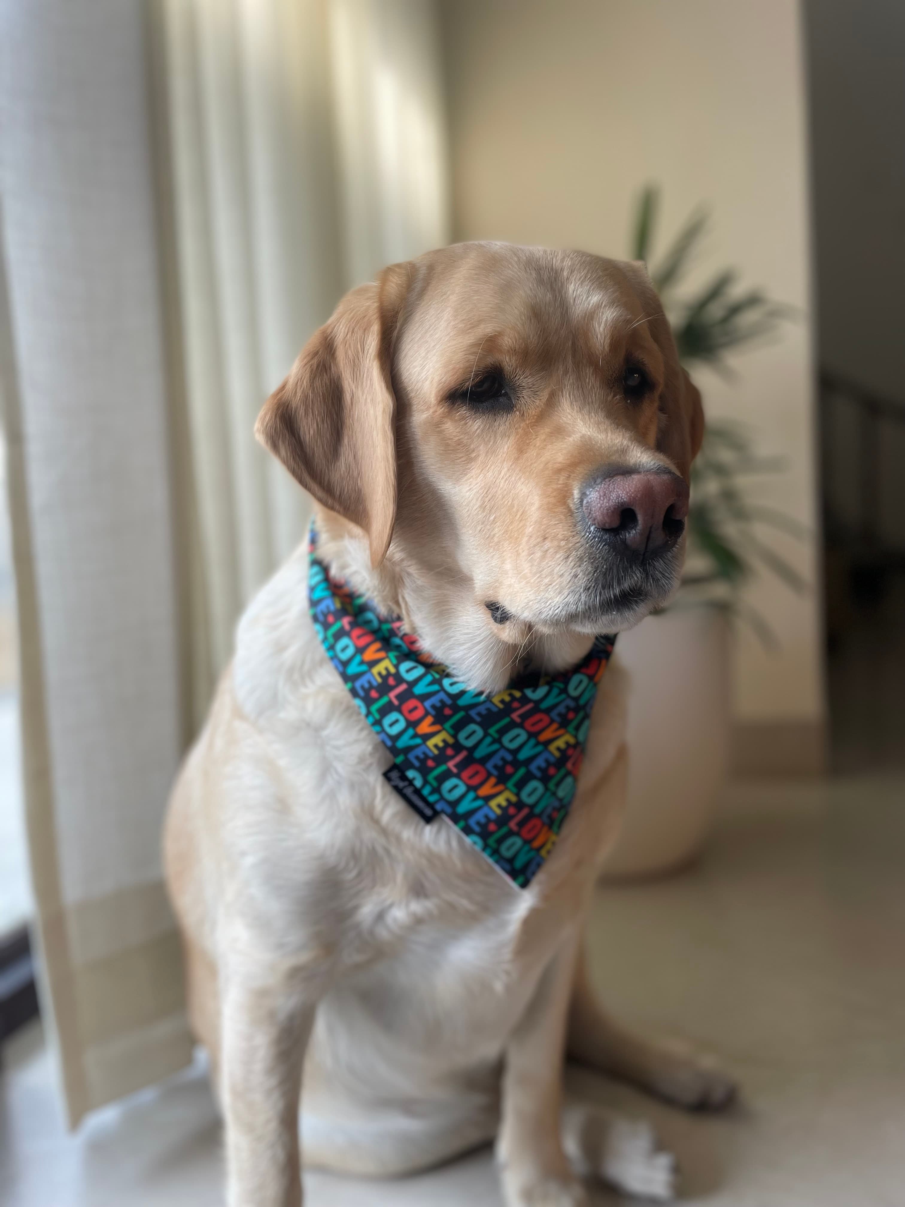 Love Loop Valentine tie on Bandana image 4