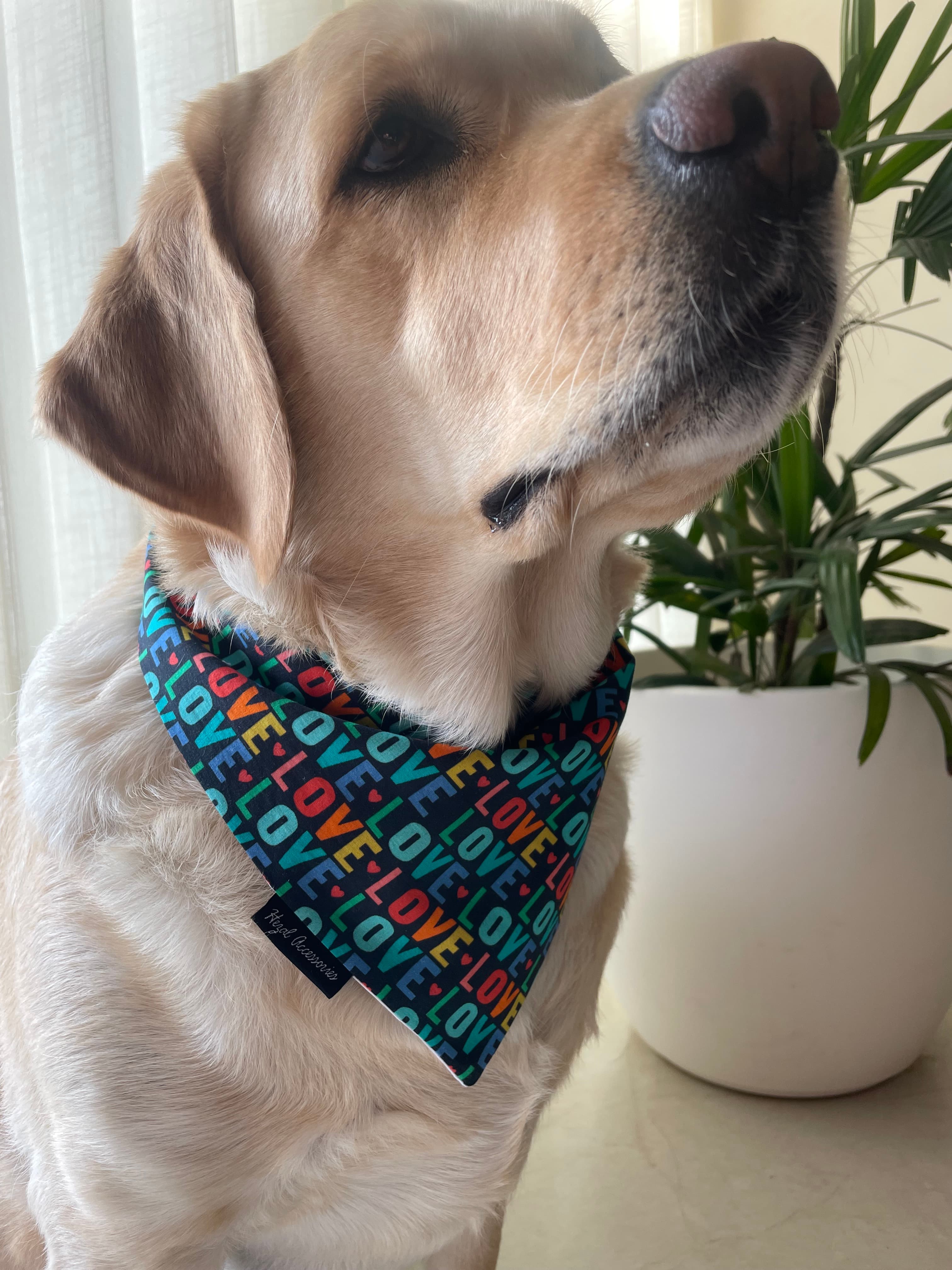 Love Loop Valentine tie on Bandana image 3