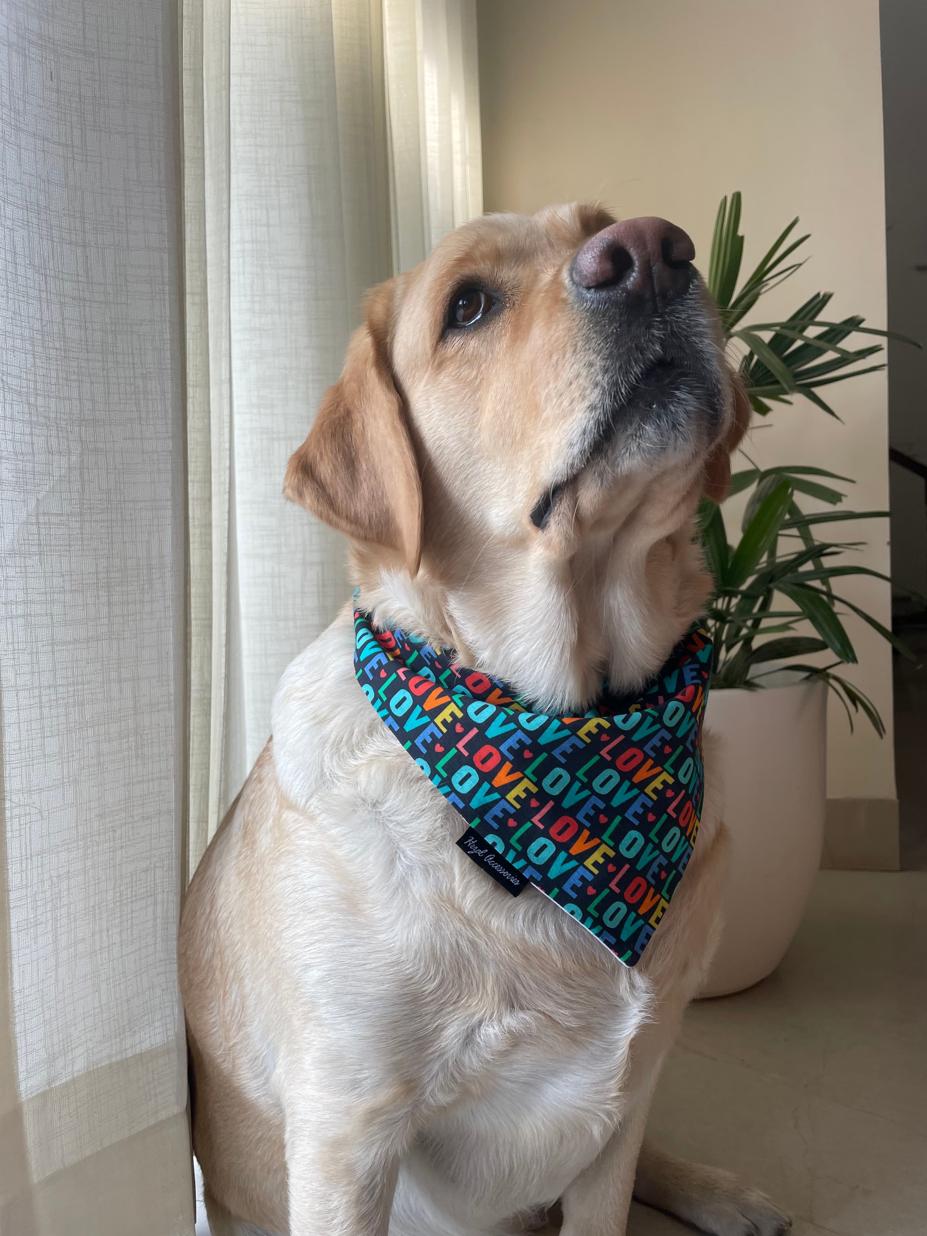 Love Loop Valentine tie on Bandana image 2