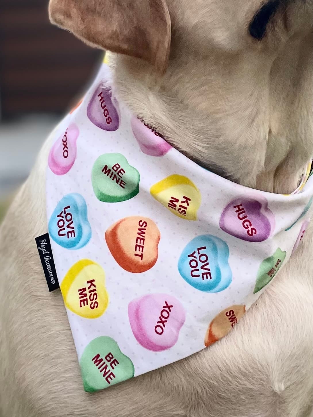 Candy Hearts Crush tie on Bandana image 4