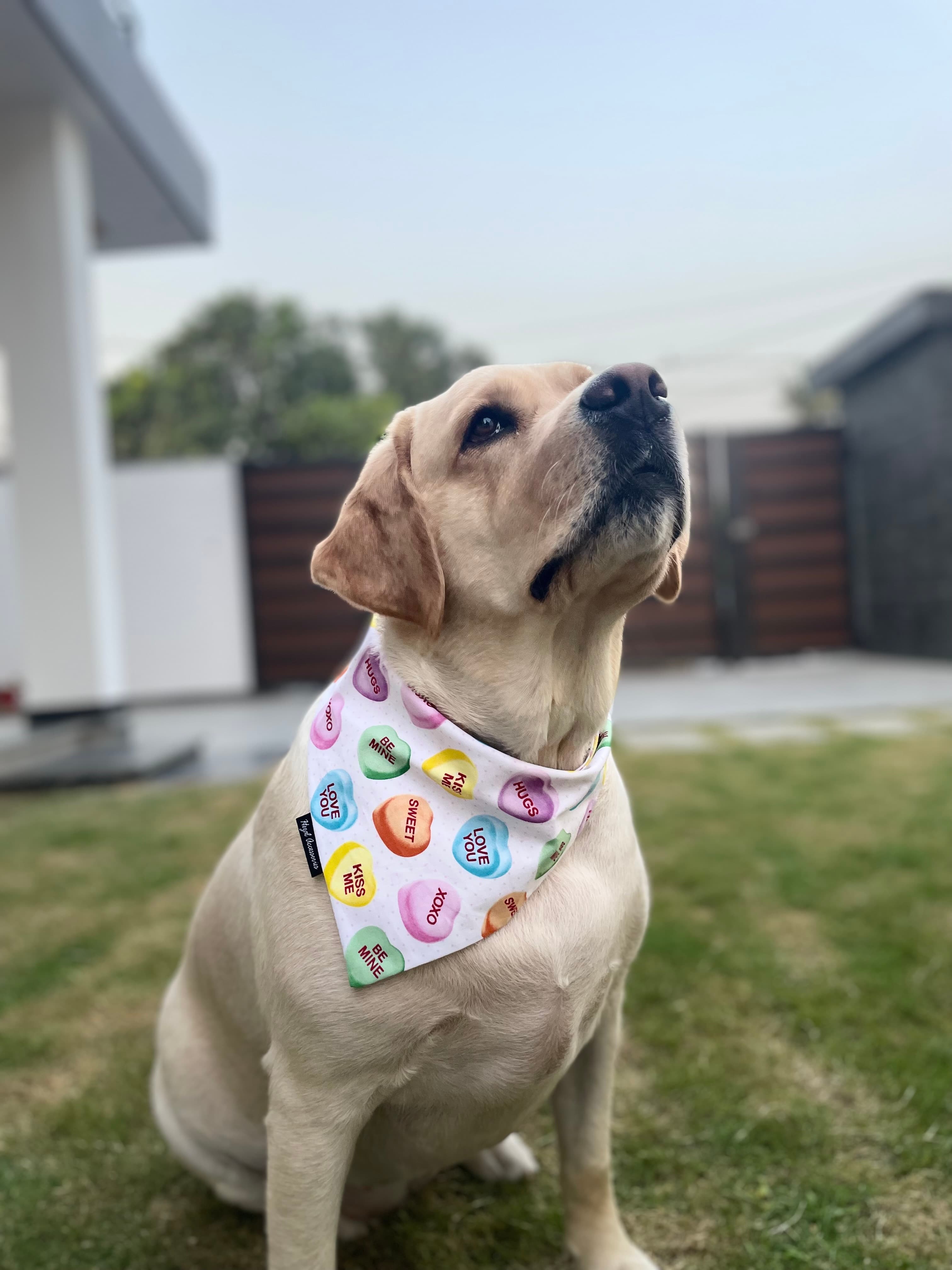 Candy Hearts Crush tie on Bandana image 2