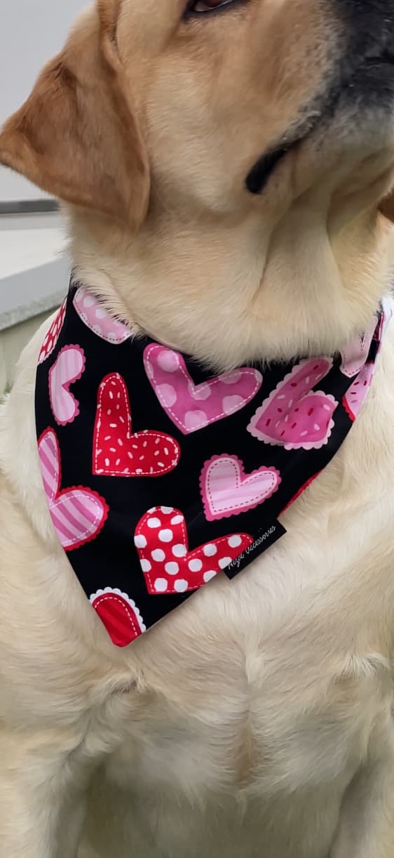 Midnight Hearts tie on Bandana image 2