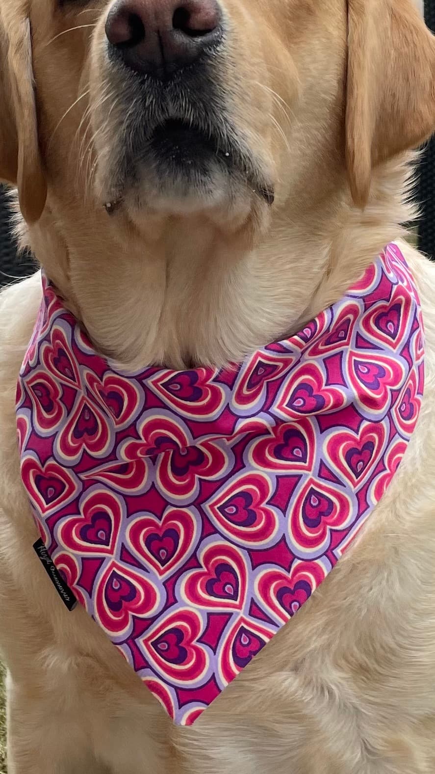 Heart Pop Valentine Bandana image 2